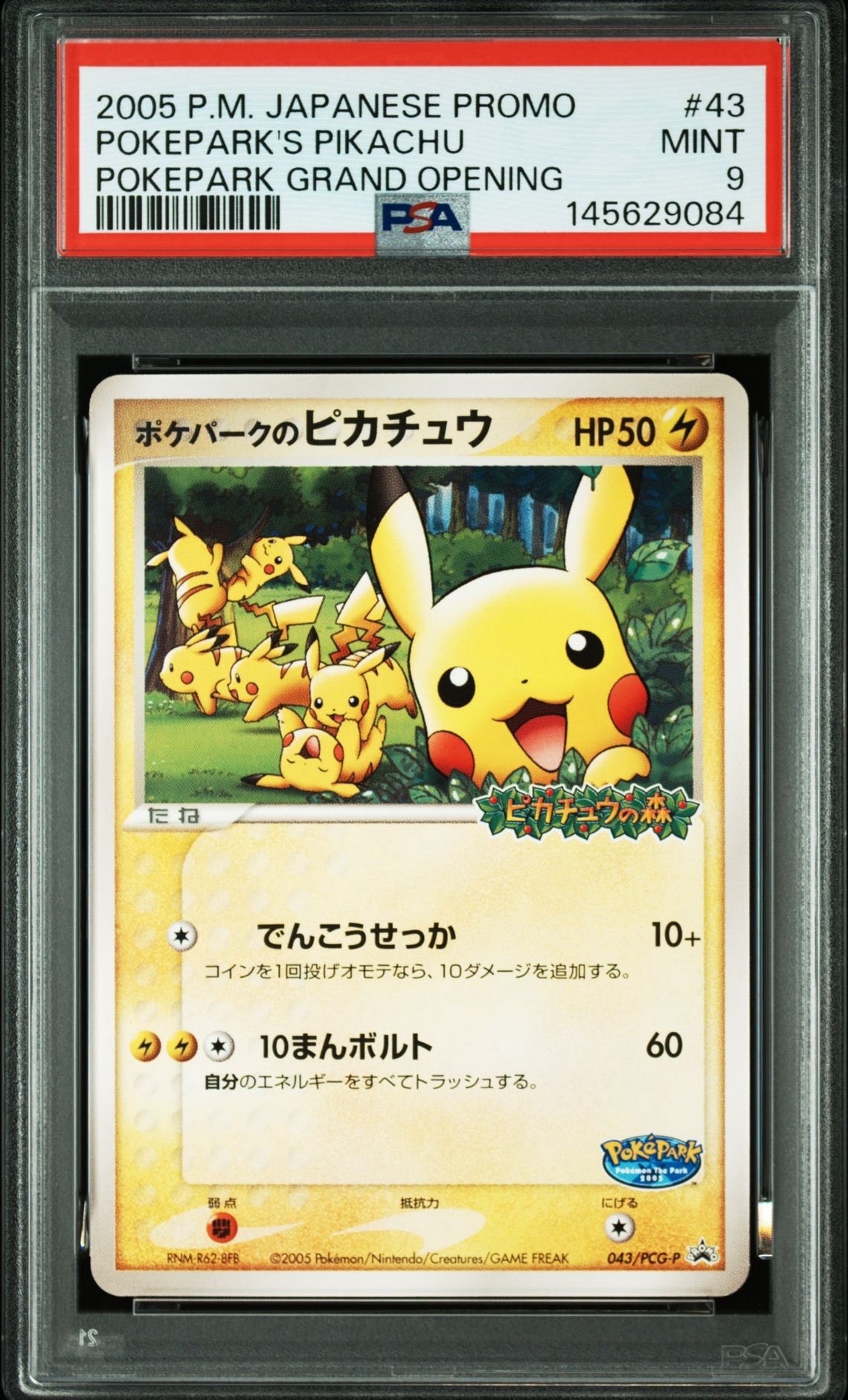 PSA9】ポケパークのピカチュウ P [PCG-P 043](プロモーションカード
