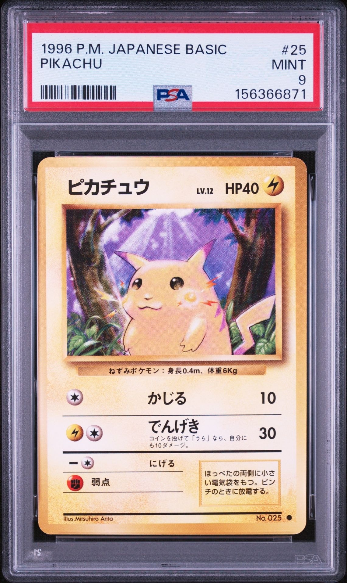 ピカチュウ ● : 旧裏 [PMCG1-2](拡張パック「ポケットモンスター カードゲーム」再販)