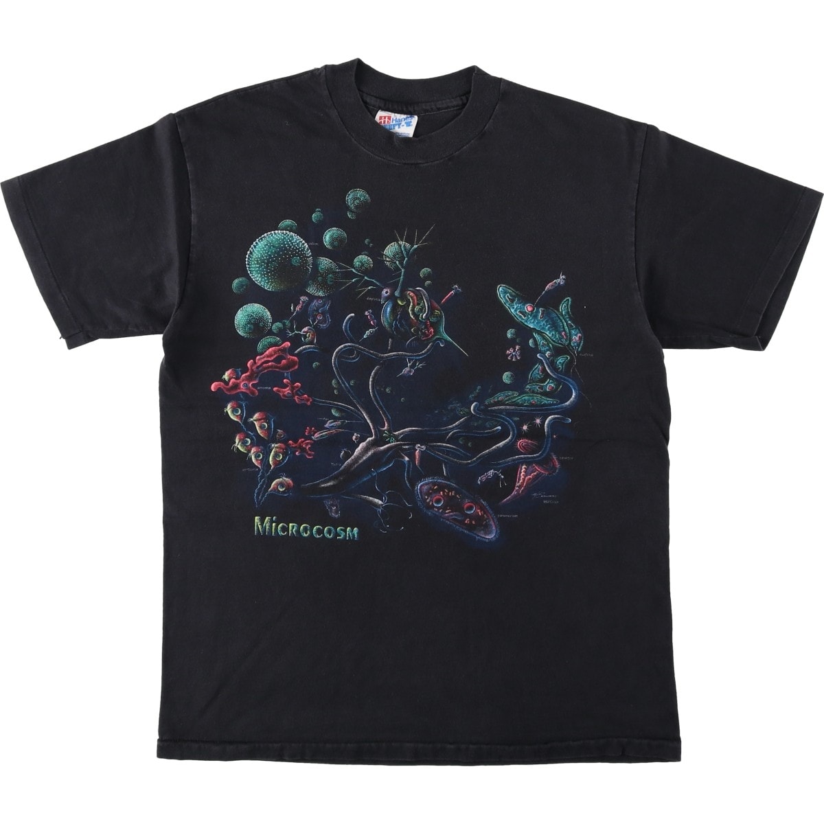 古着 90年代 ヘインズ Hanes BEEFY-T アートTシャツ USA製 メンズM相当 ヴィンテージ/eaa642477