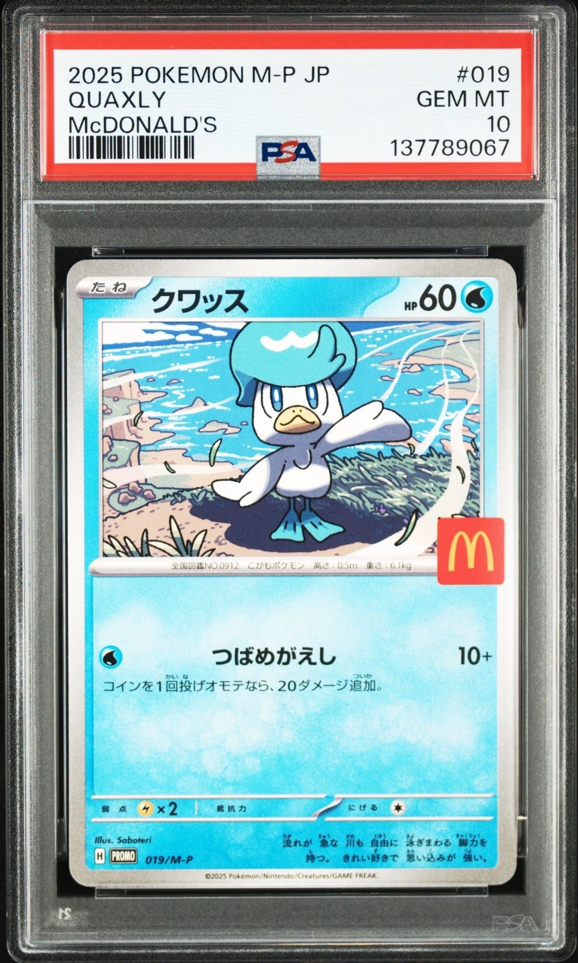 クワッス P [M-P 019](プロモカードパック「マクドナルド ハッピーセット2025」)