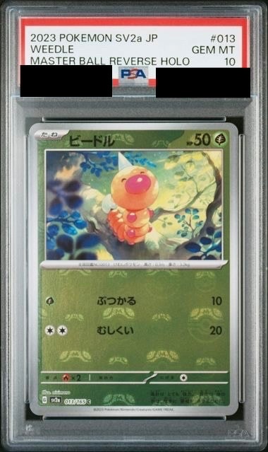 波導のルカリオ P [PCG-P 093](プロモーションカード「ポケパーク