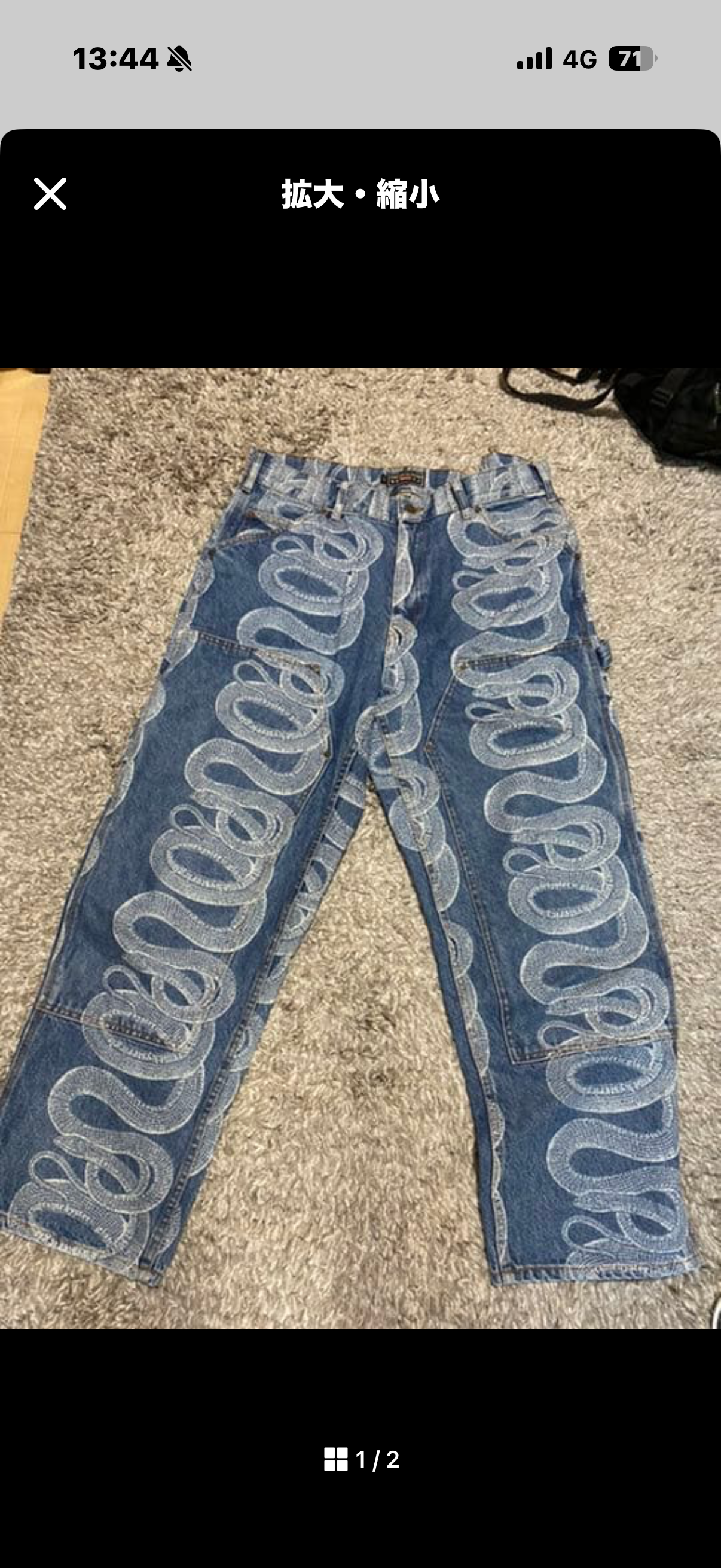 Supreme x HYSTERIC GLAMOUR Snake Double Knee Denim Painter Pant