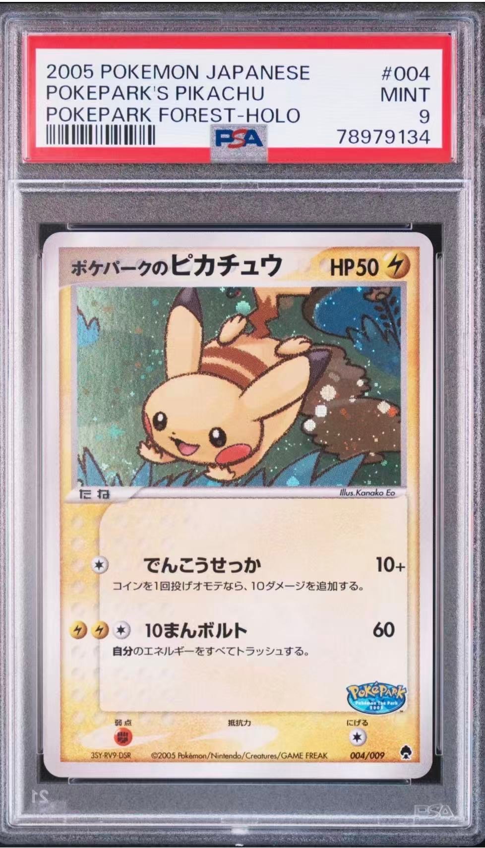 ポケパークのピカチュウ [PCG 004/009](ポケパークプレミアムファイル「フォレストシート」)
