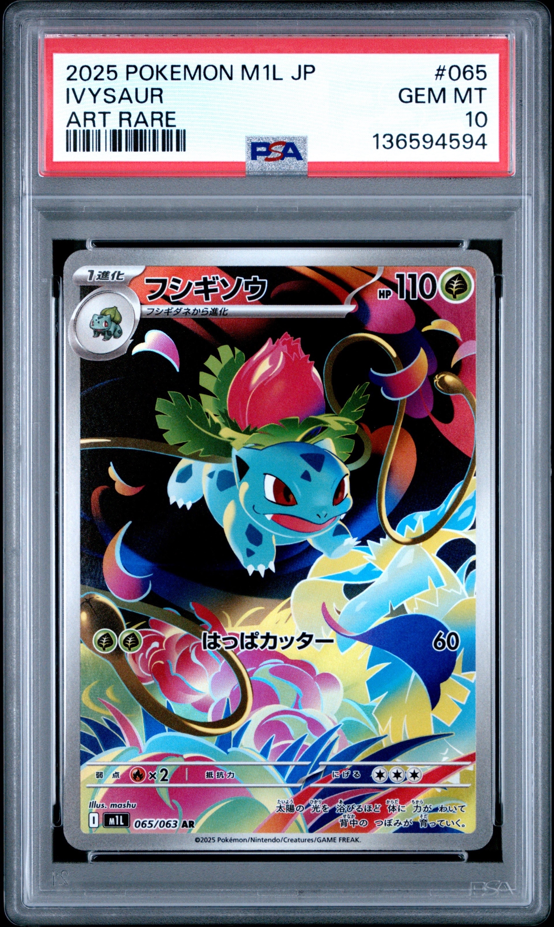 海で遊ぶピカチュウ: プロモ [SM-P 392](プロモーションカード「SM-P