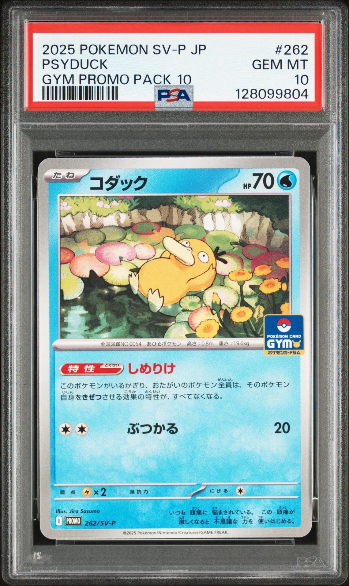 PSA10】コダック P [SV-P 262](プロモカードパック「第10弾」) 1枚の