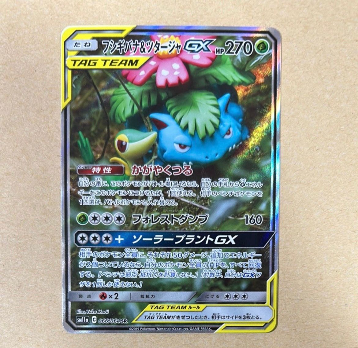 フシギバナ&ツタージャGX SR: SA[SM11a 066/064](強化拡張パック「リミックスバウト」)