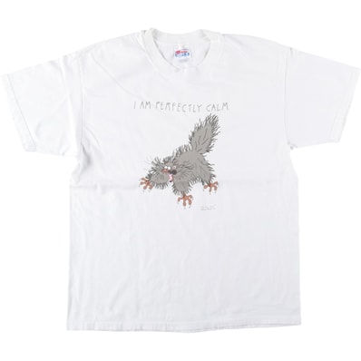 古着 90年代 ヘインズ Hanes BEEFY-T プリントTシャツ USA製 メンズL相当 ヴィンテージ/eaa642145