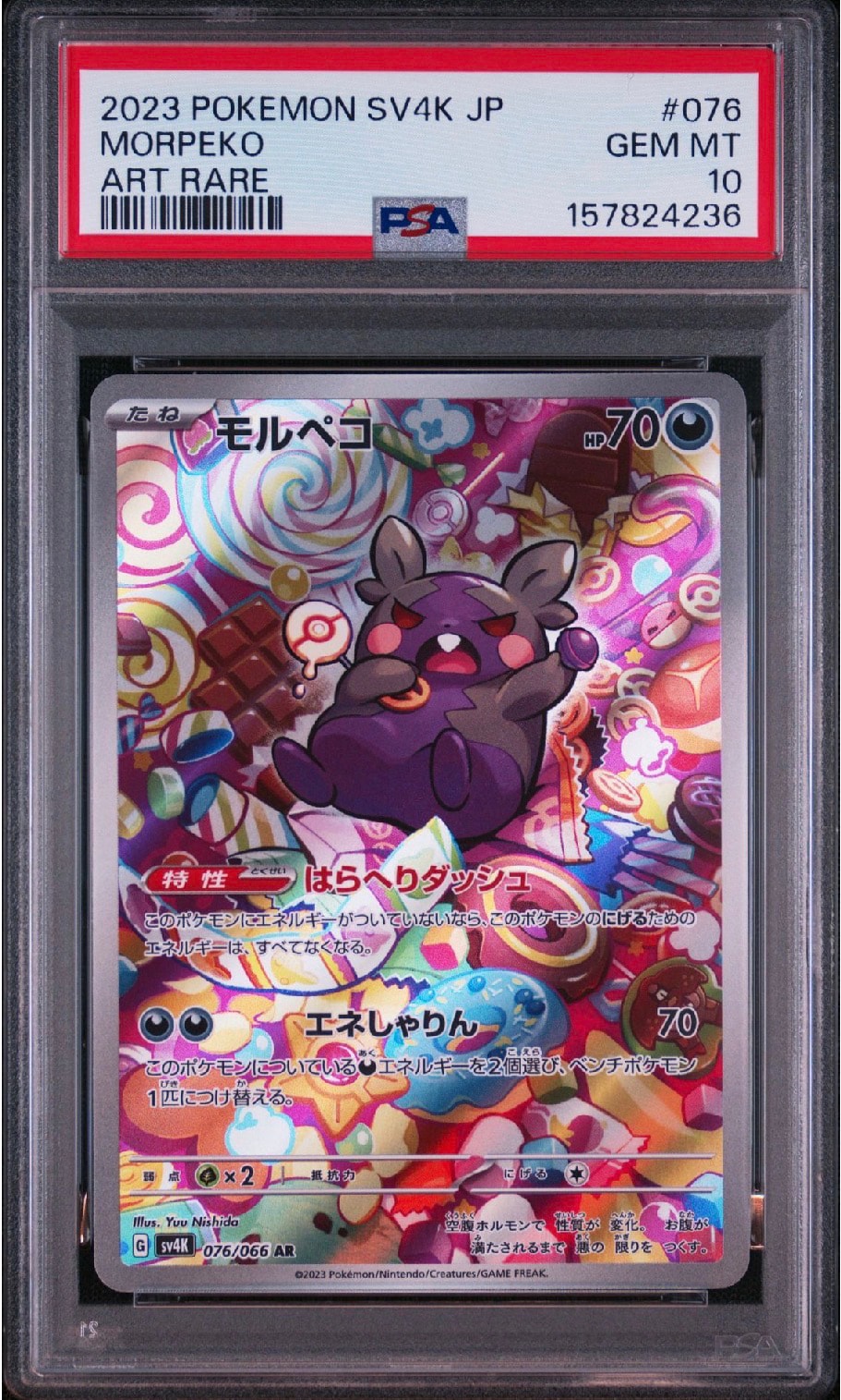 希少‼️ PSA10 ダーク モルペコ V 290 希少‼️ PSA10 ダーク モルペコ 希少‼️ PSA10 ダーク モルペコ V 290 希少‼️ PSA10 ダーク モルペコ