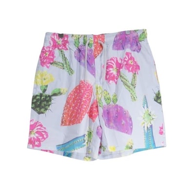 Wtaps SDDS2002 / Shorts / Cotton. Broadcloth. Textile "Gray"