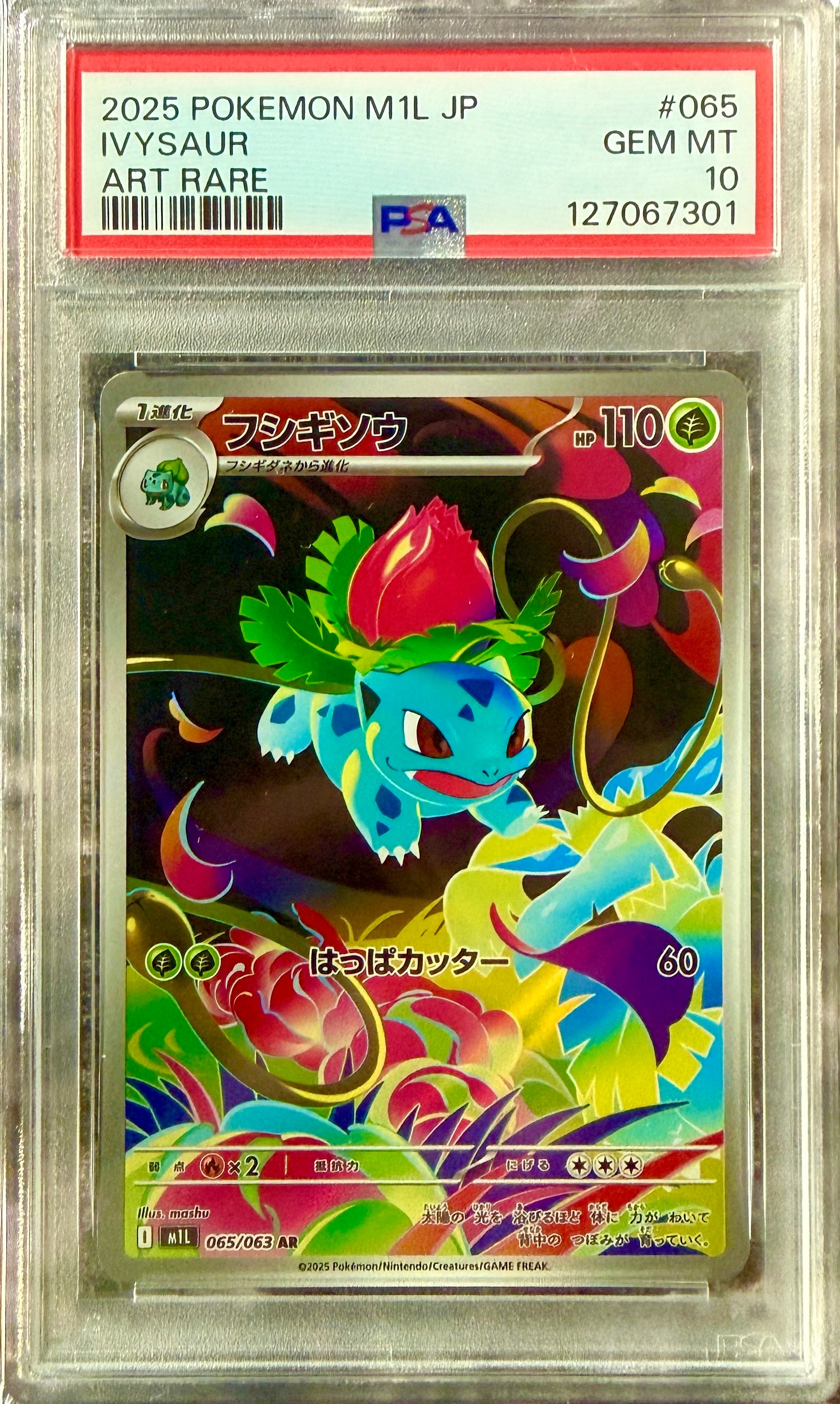 メガブレイブ　フシギソウAR　PSA10 PSA10フシギソウ お*し様 フシギソウ AR PSA10 メガブレイブ AR [M1L