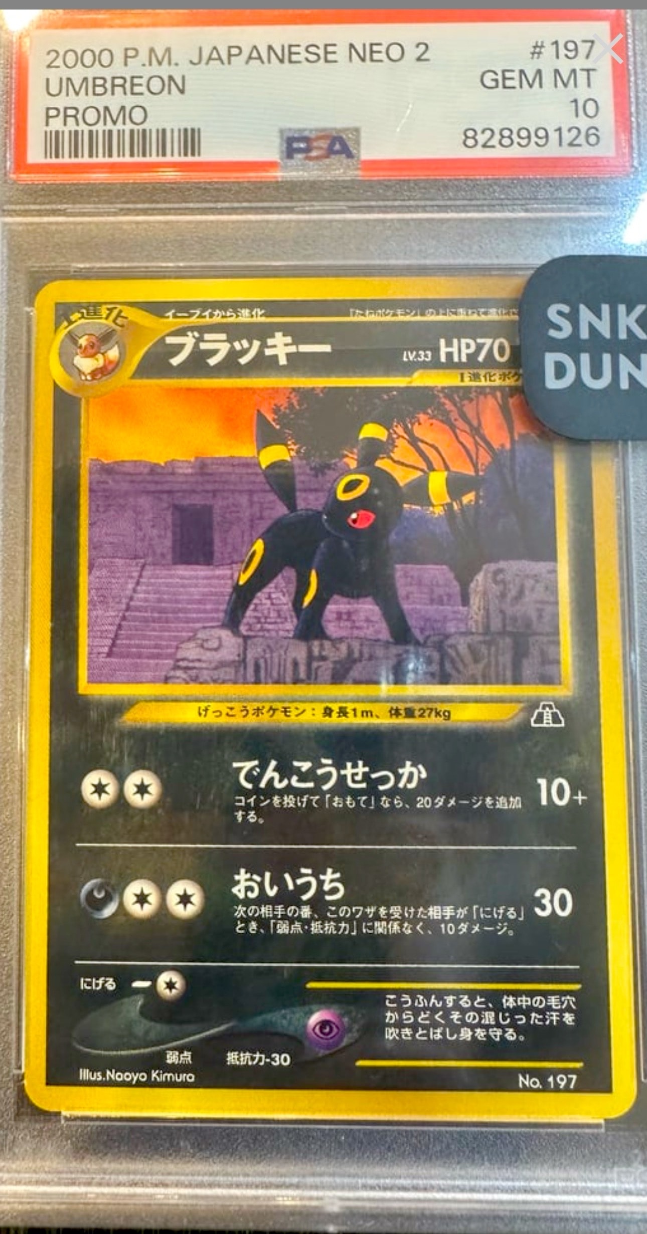 PSA10ブラッキープレミアムファイル2: 旧裏[neoP2 No.197
