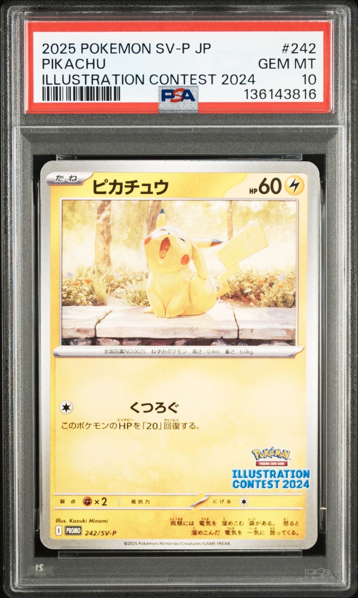 PSA10】ピカチュウ [SV-P 242](プロモカードパック