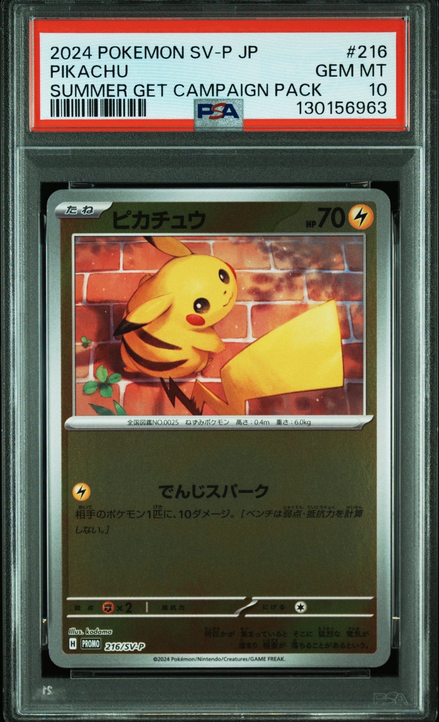 ピカチュウ P [SV-P 216](プロモカードパック「ポケカの夏がキタ!プロモカードGetキャンペーン!」)
