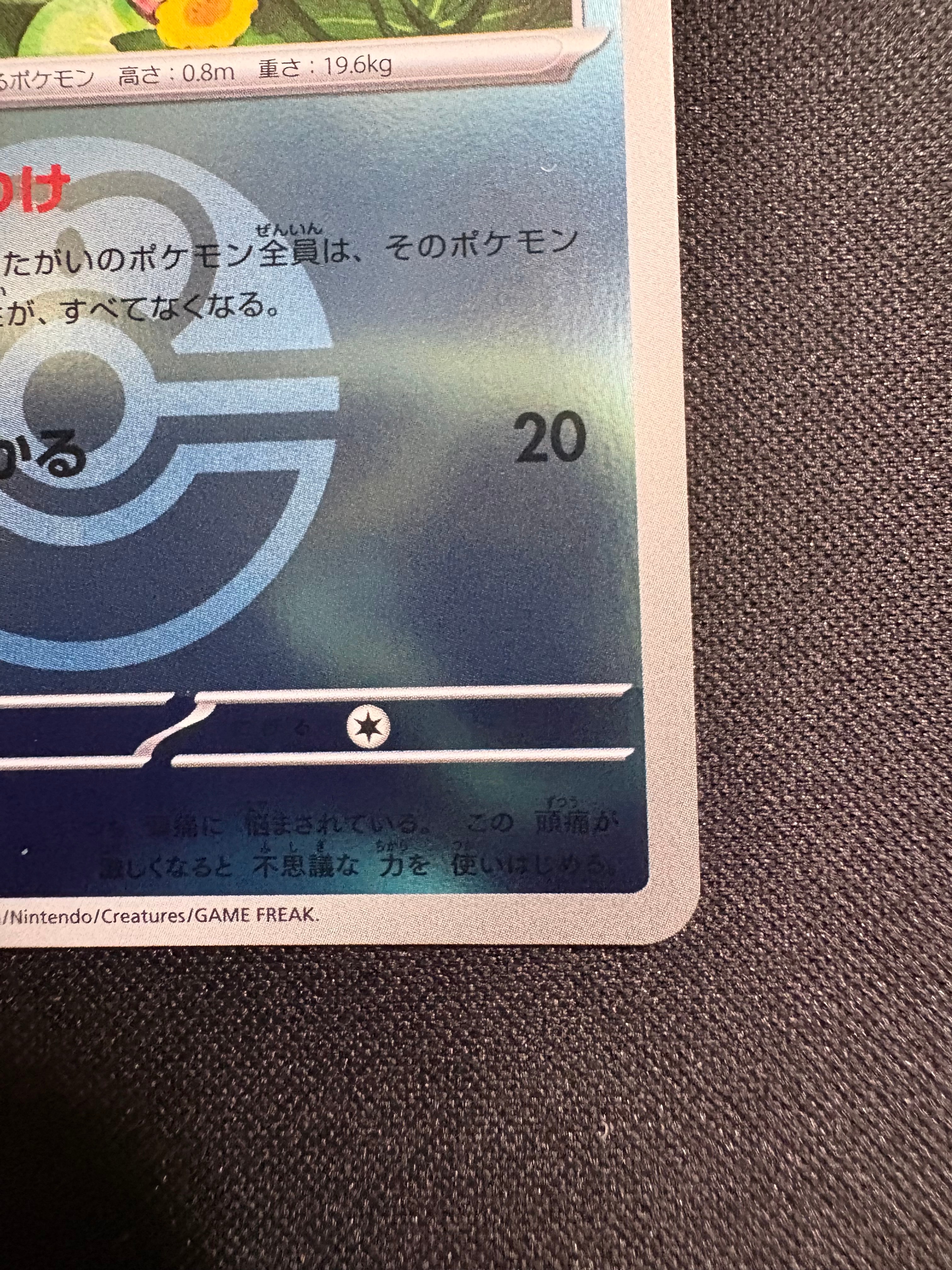 ブラッキーEX RR [XY10 042/078](拡張パック「めざめる超王」)の新品