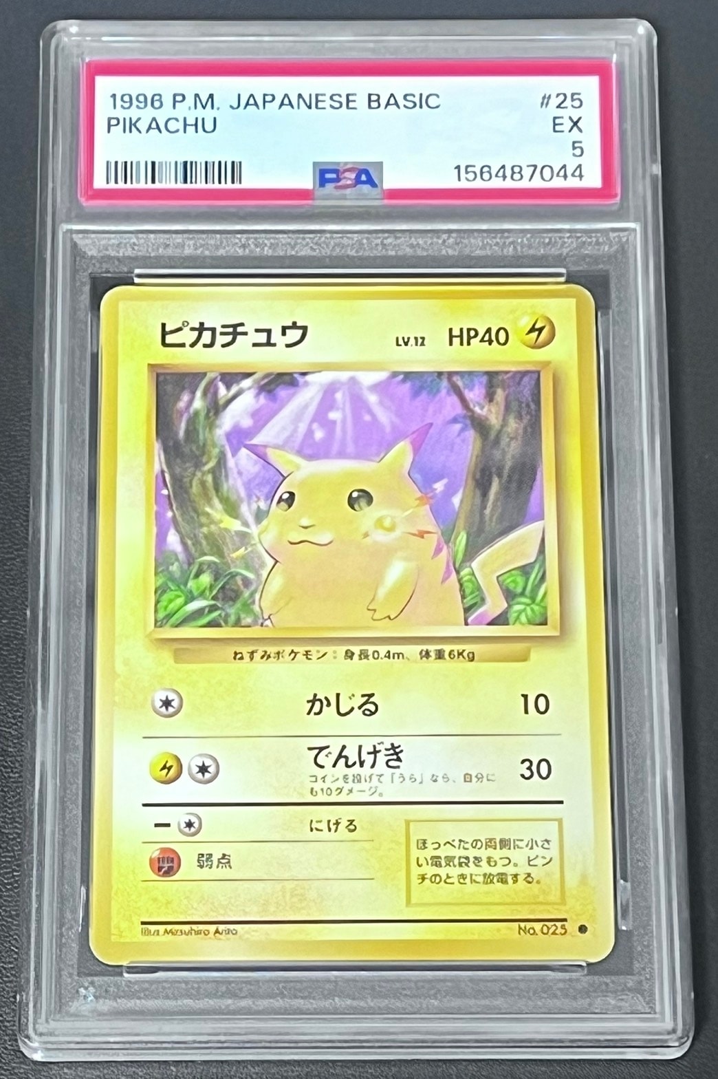 ピカチュウ ● : 旧裏 [PMCG1-2](拡張パック「ポケットモンスター カードゲーム」再販)