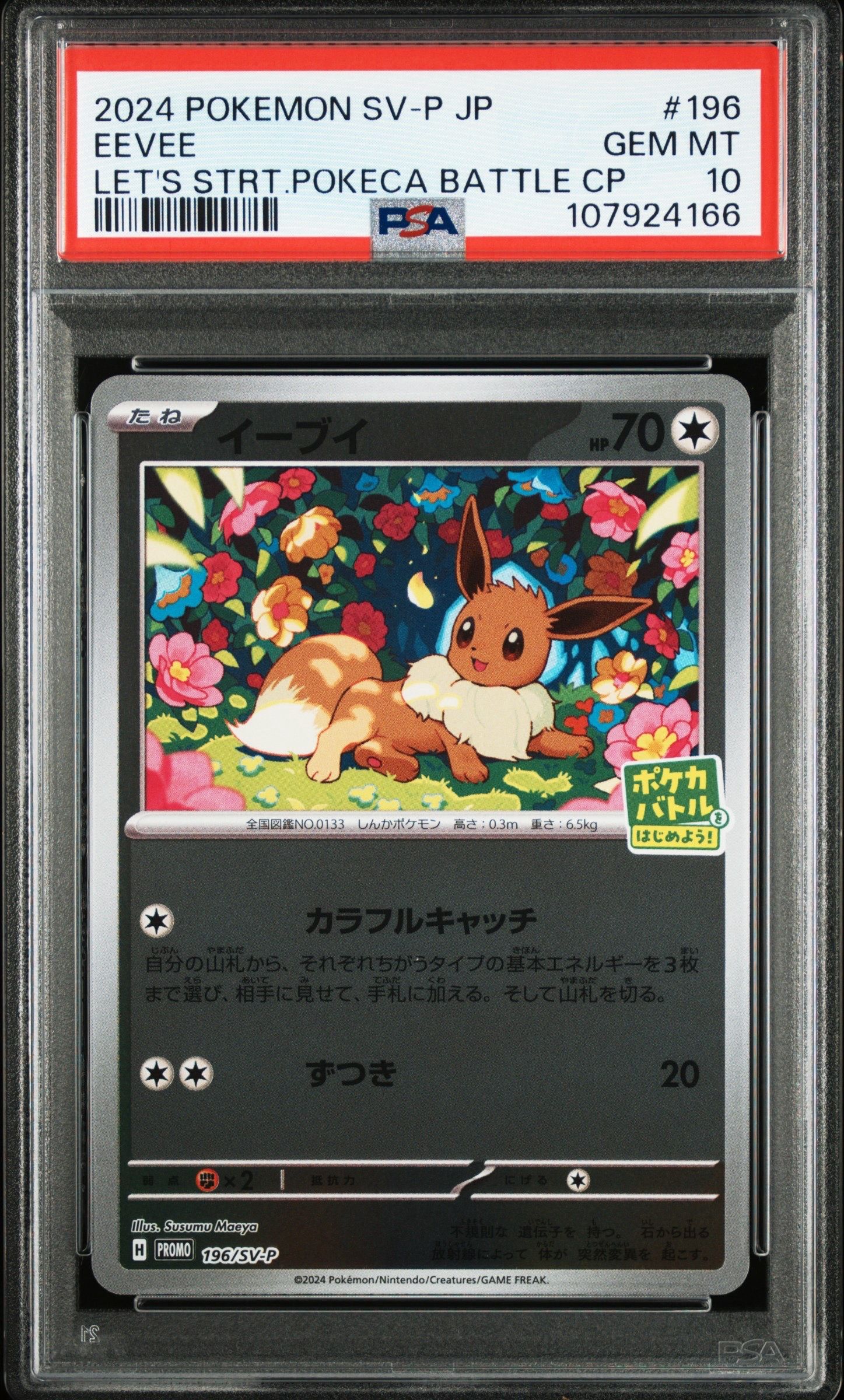 イーブイ P [SV-P-SM 196](プロモカードパック「ポケカバトルをはじめよう!キャンペーン」)