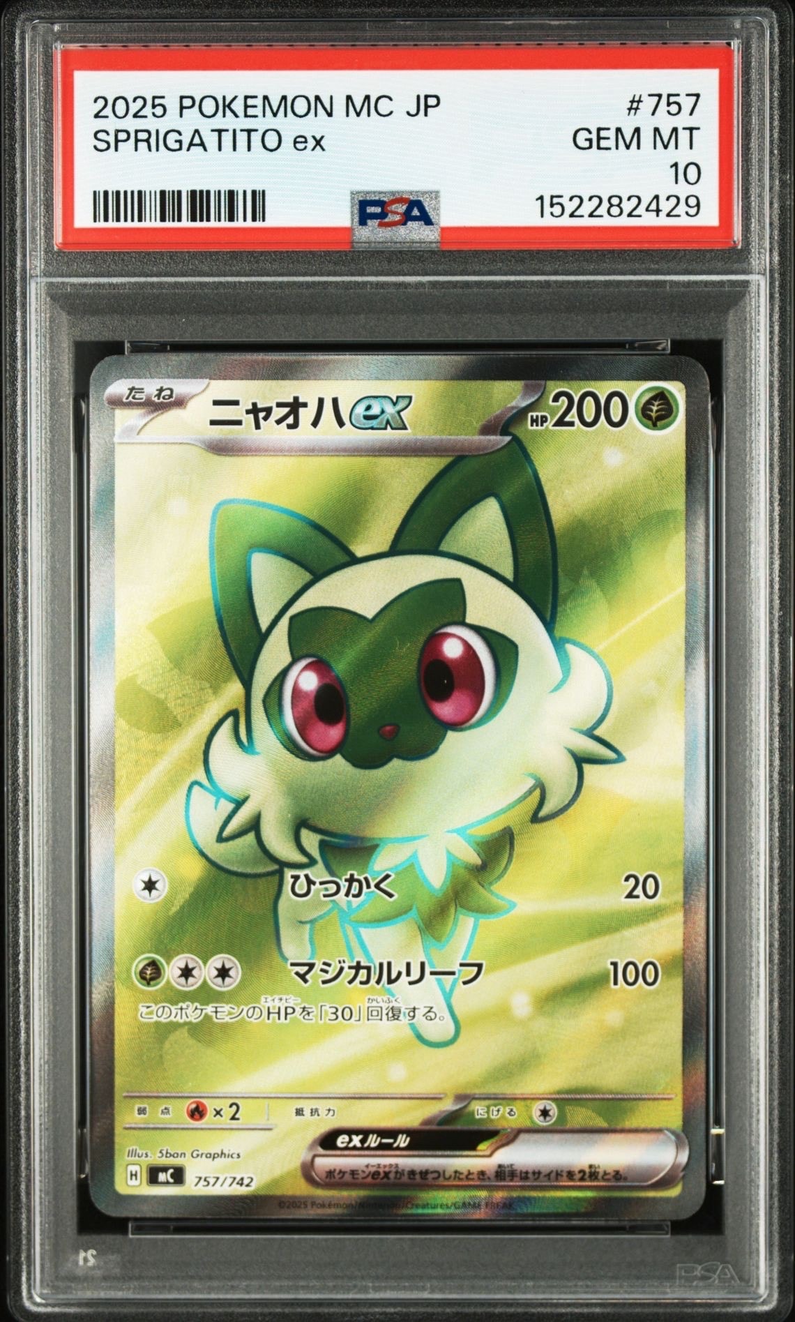 PSA9】フシギソウ : 旧裏 [PMCG-P No.002](旧裏面 プロモーション