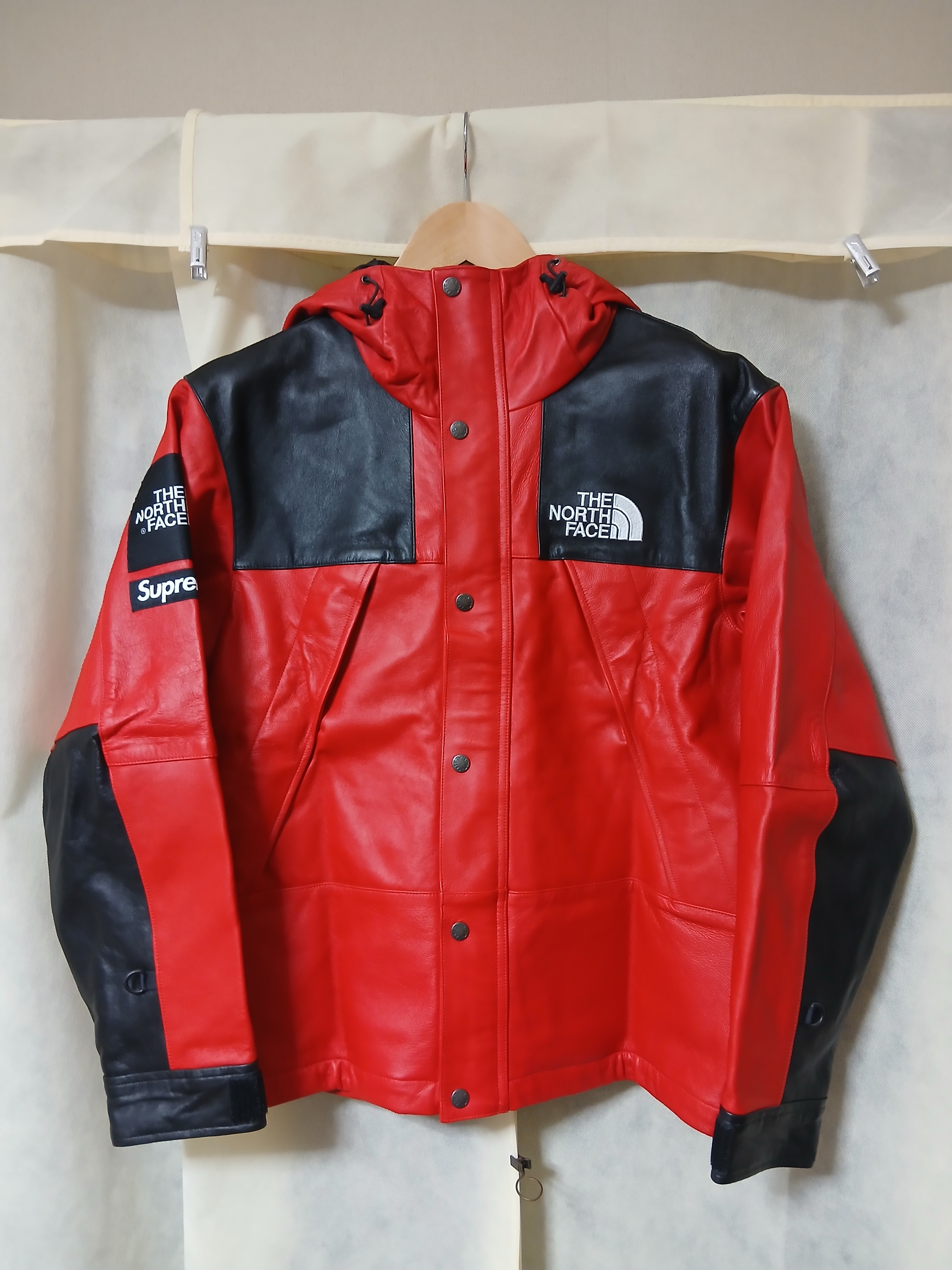 Supreme x The North Face Leather Mountain Parka 