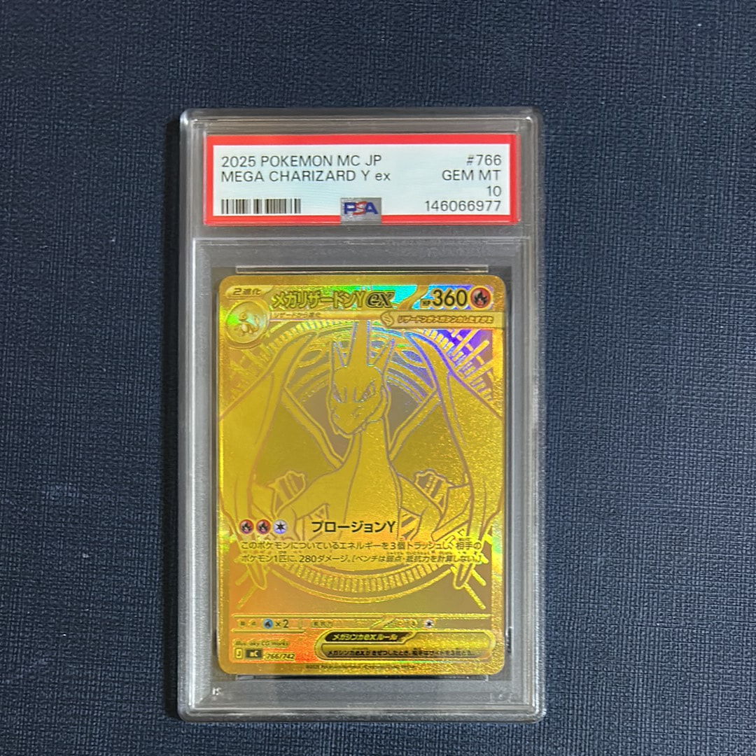 PSA10アイテムのおすすめアイテム | 通販・相場はスニーカーダンク