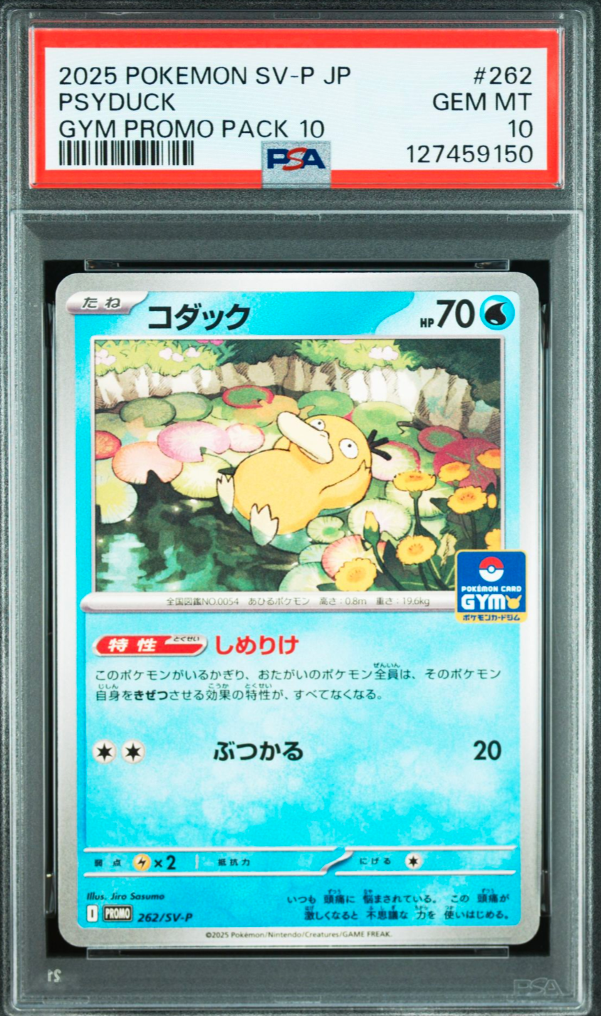コダック P [SV-P 262](プロモカードパック「第10弾」)