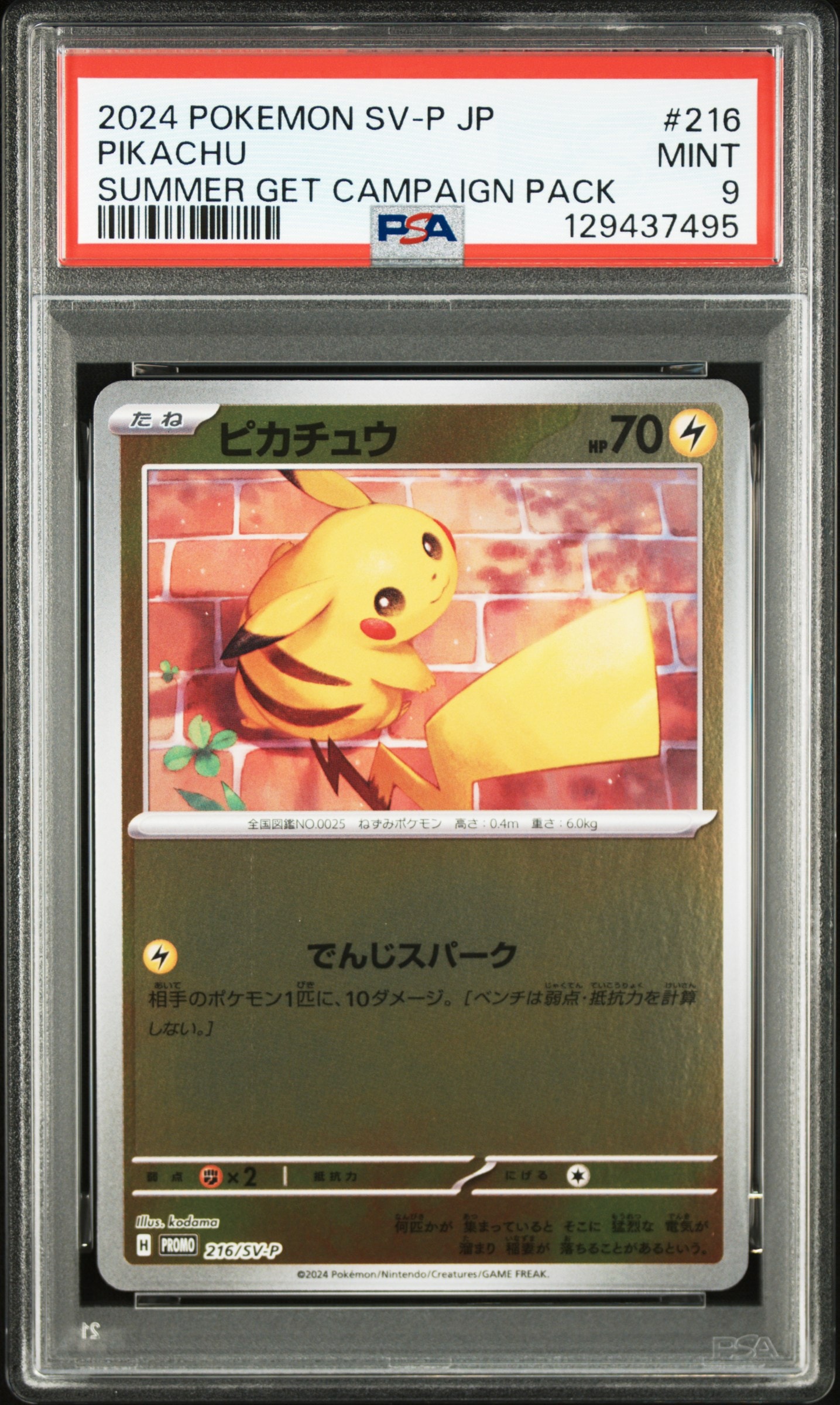 ピカチュウ P [SV-P 216](プロモカードパック「ポケカの夏がキタ!プロモカードGetキャンペーン!」)