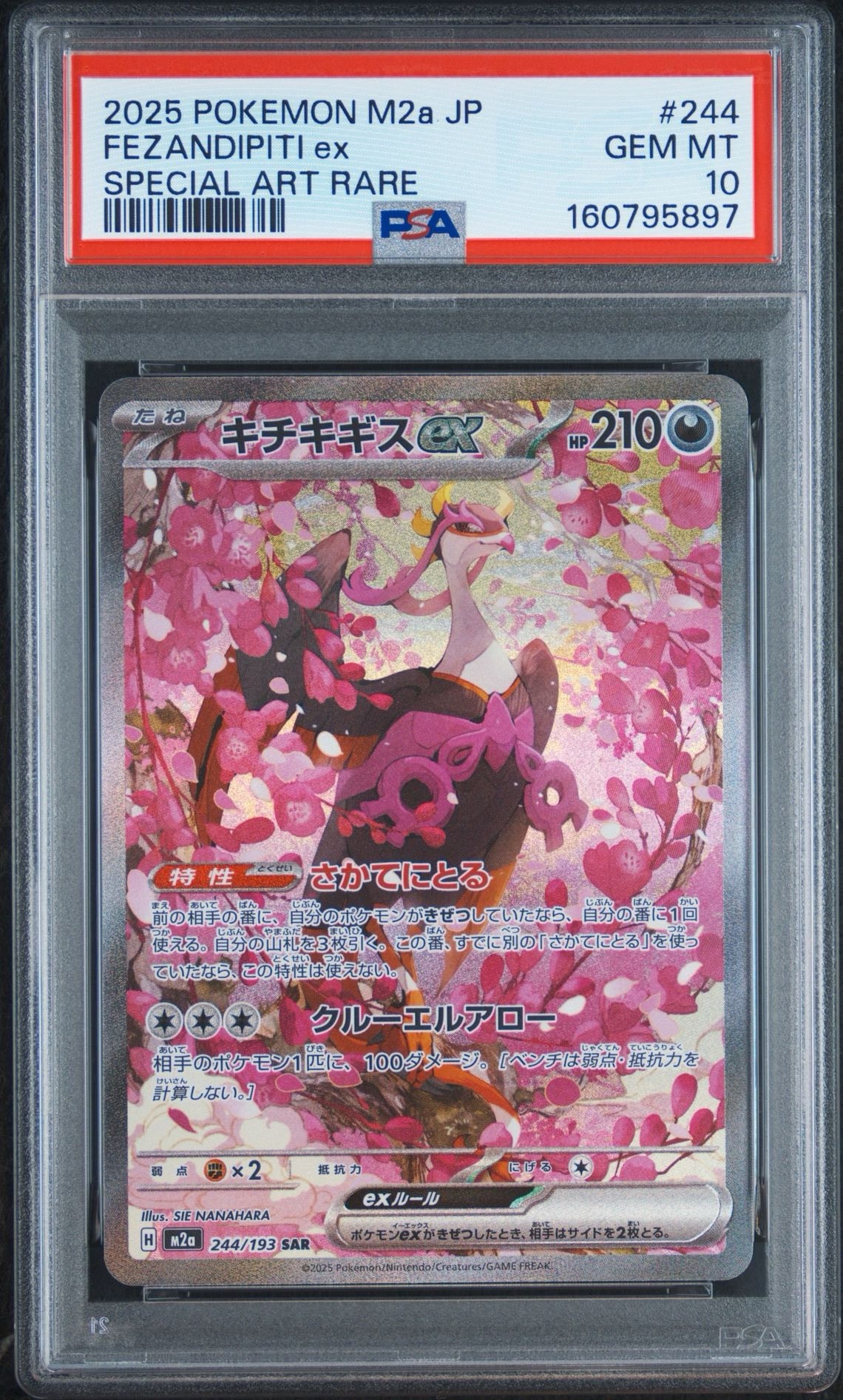 キチキギスex SAR [M2a 244/193](ハイクラスパック「MEGAドリームex」)