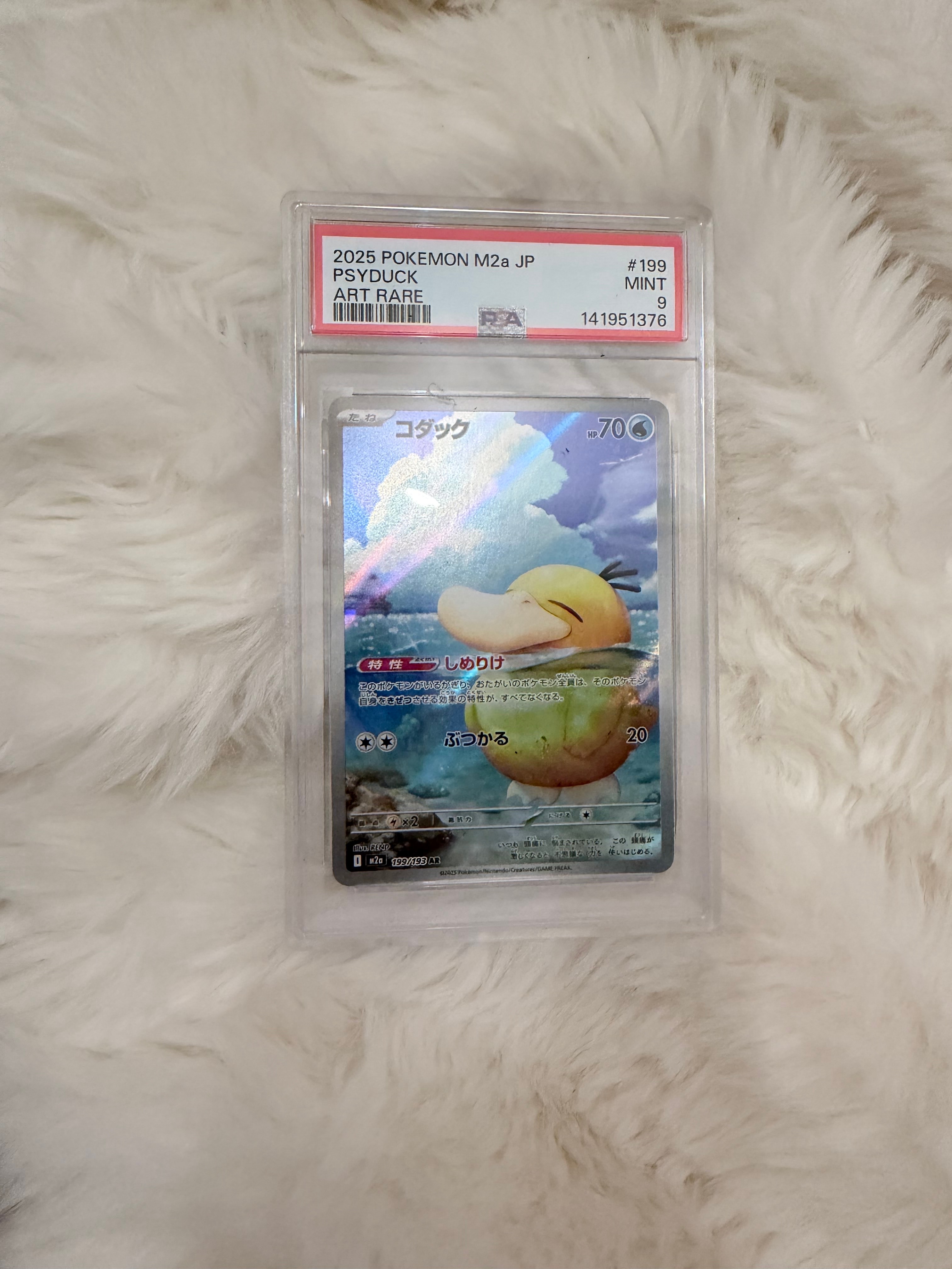 コダック AR [M2a 199/193](ハイクラスパック「MEGAドリームex」)