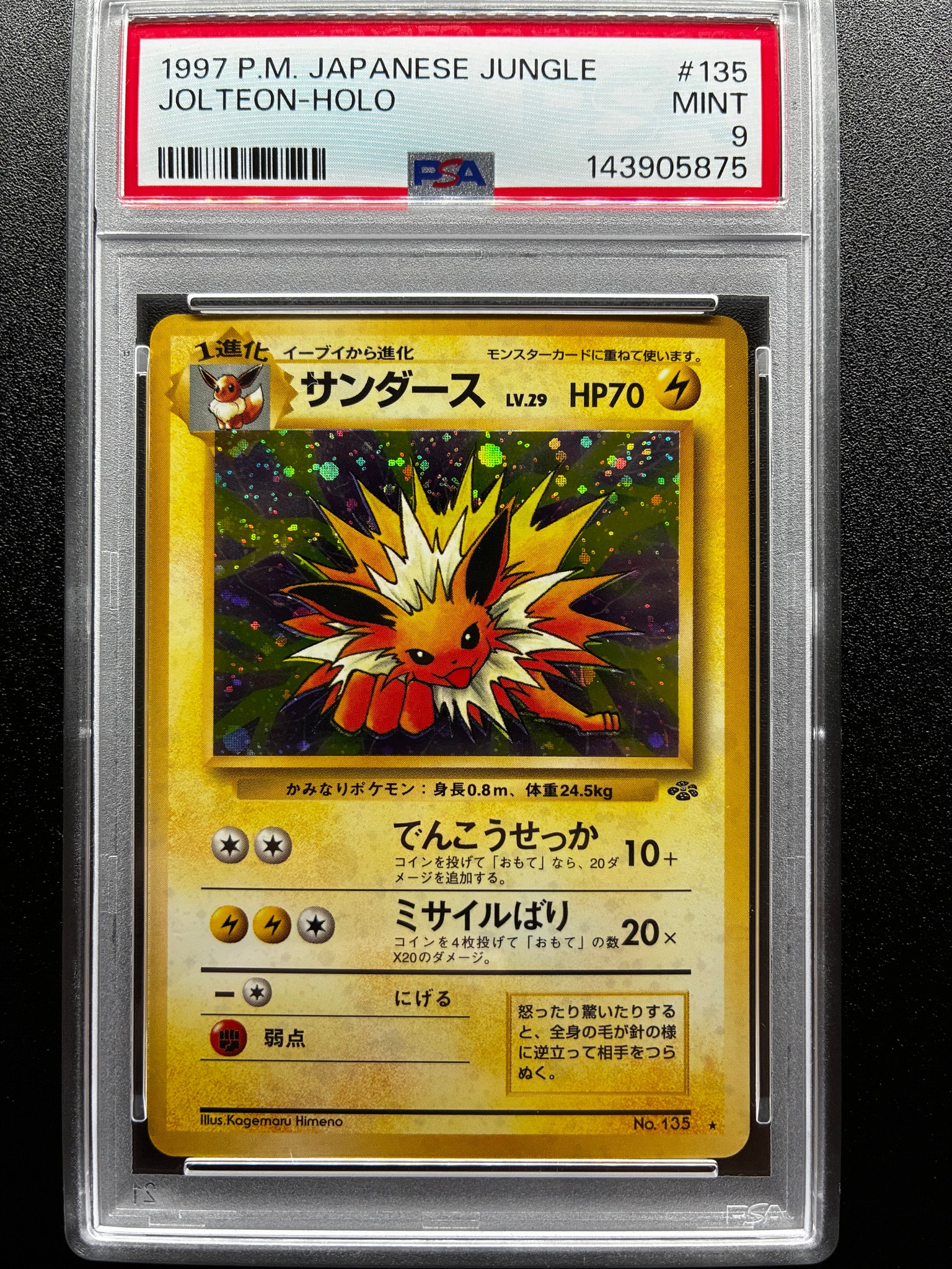 サンダース R: 旧裏 [PMCG2 No.135](拡張パック「ポケモンジャングル
