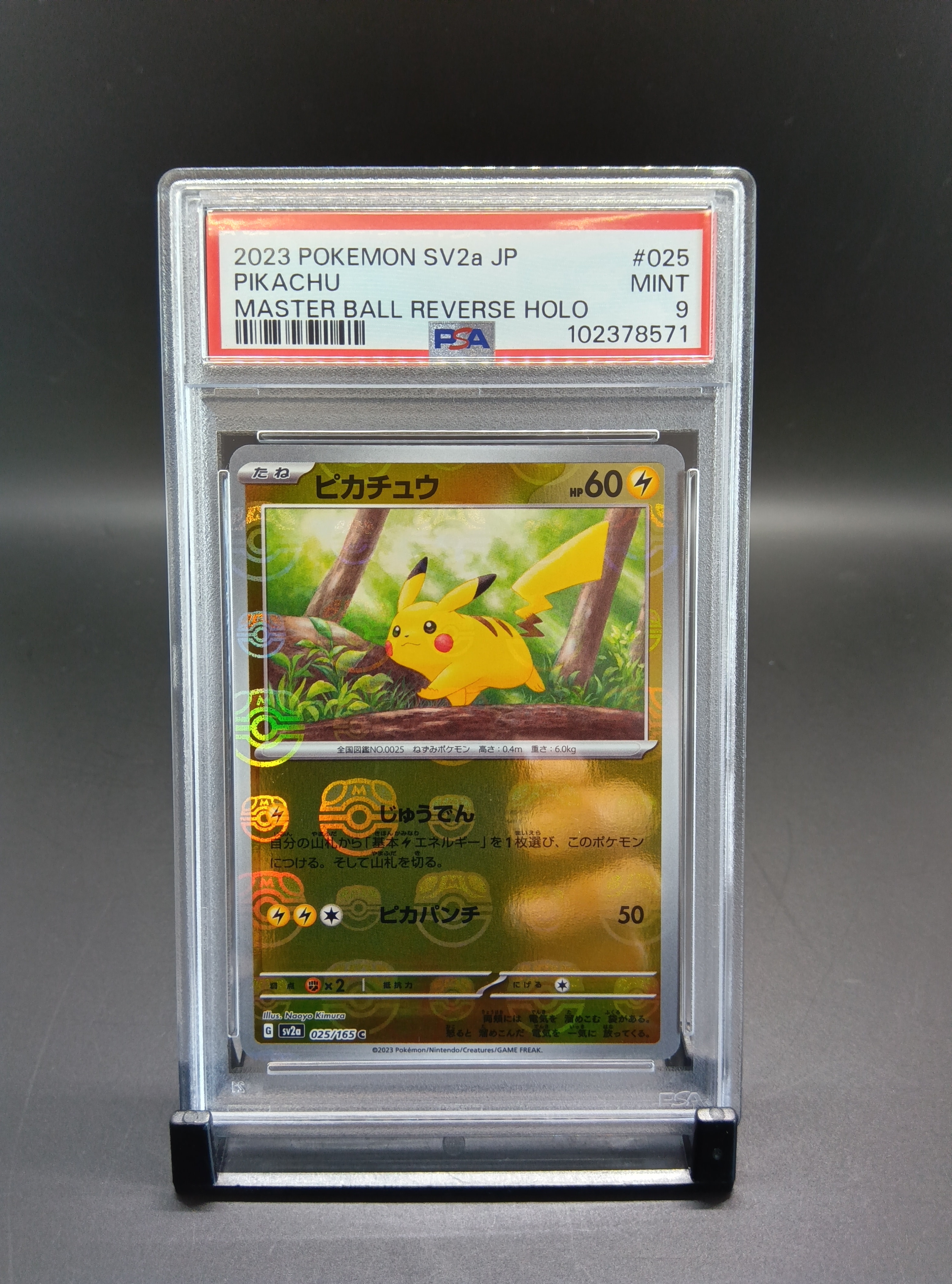 ピカチュウ C: マスターボールミラー (マスボピカチュウ) [SV2a 025