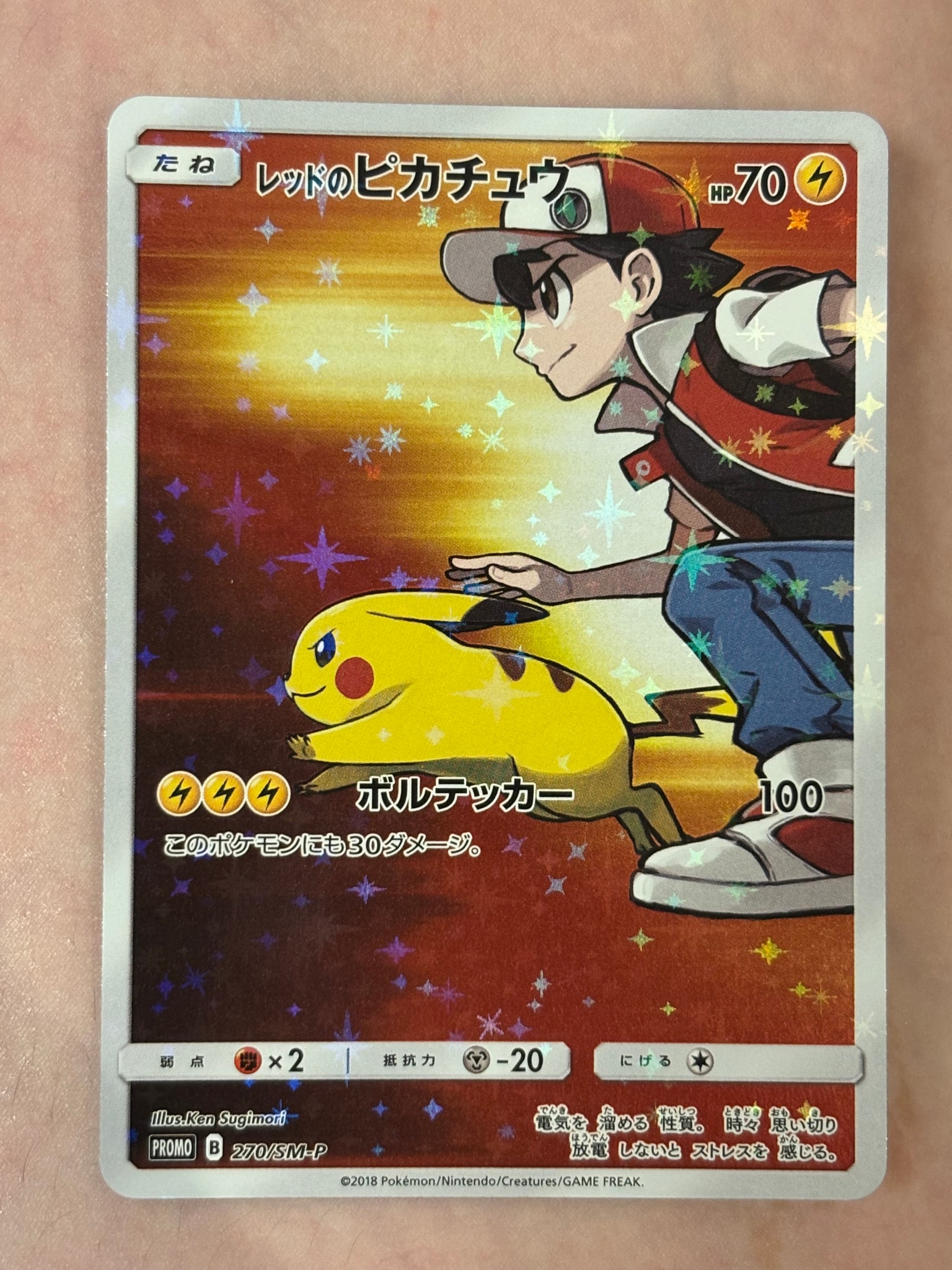 レッドのピカチュウ: プロモ[SM-P 270](プロモーションカード「SM-P