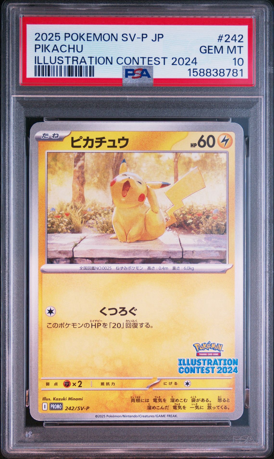 ピカチュウ [SV-P 242](プロモカードパック「イラストレーション
