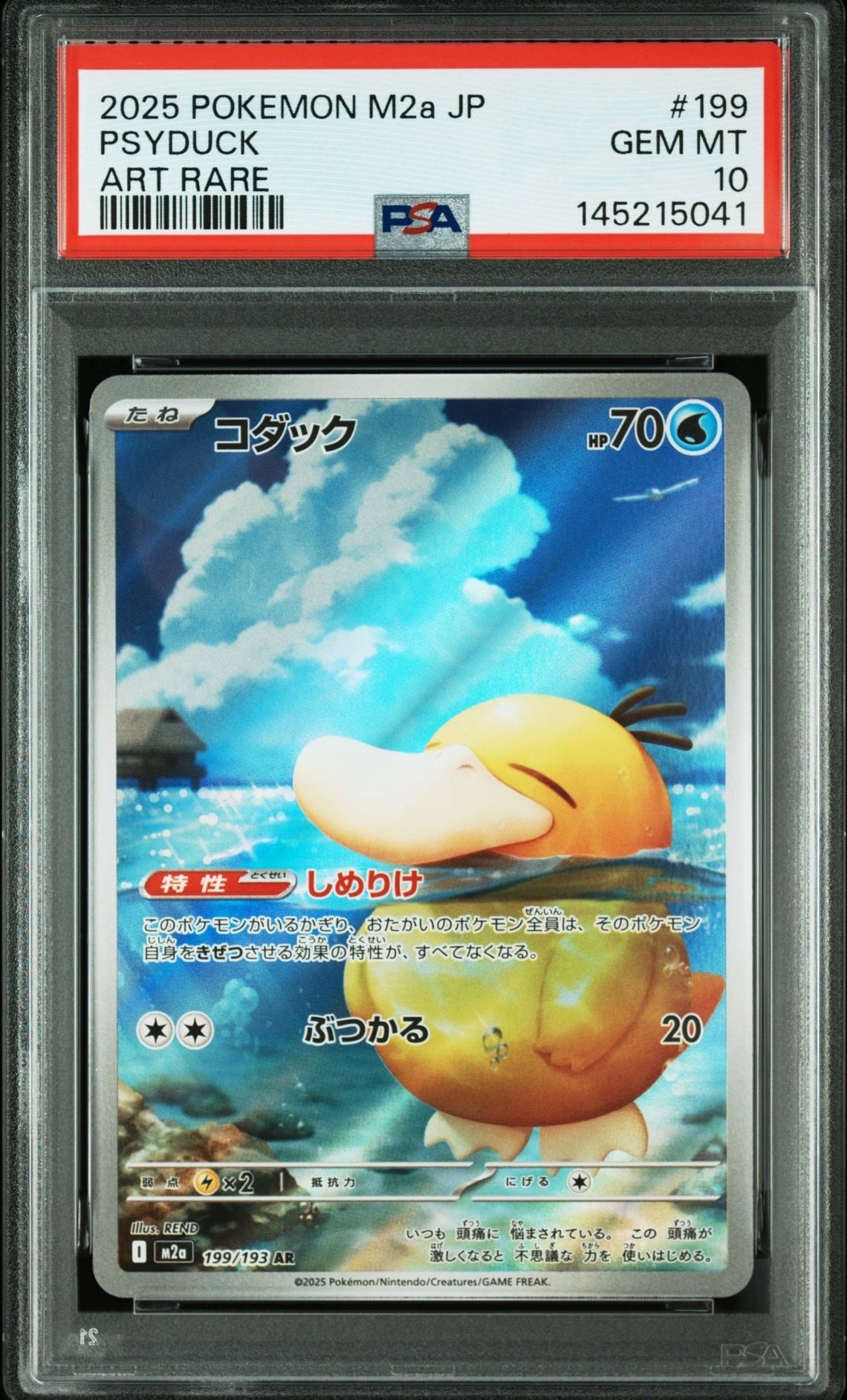 コダック AR [M2a 199/193](ハイクラスパック「MEGAドリームex」)