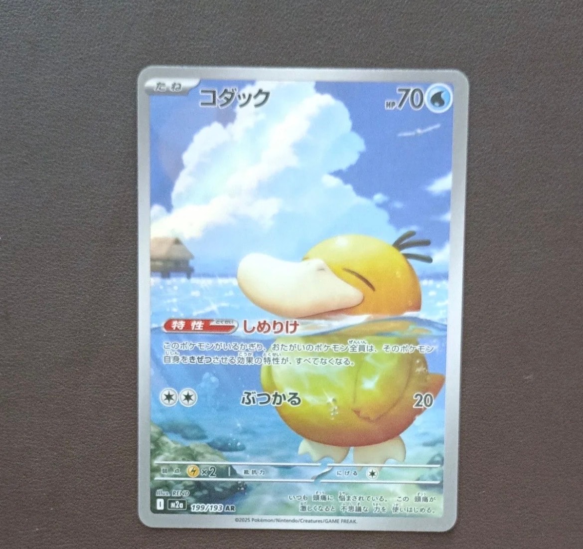 コダック AR [M2a 199/193](ハイクラスパック「MEGAドリームex」)