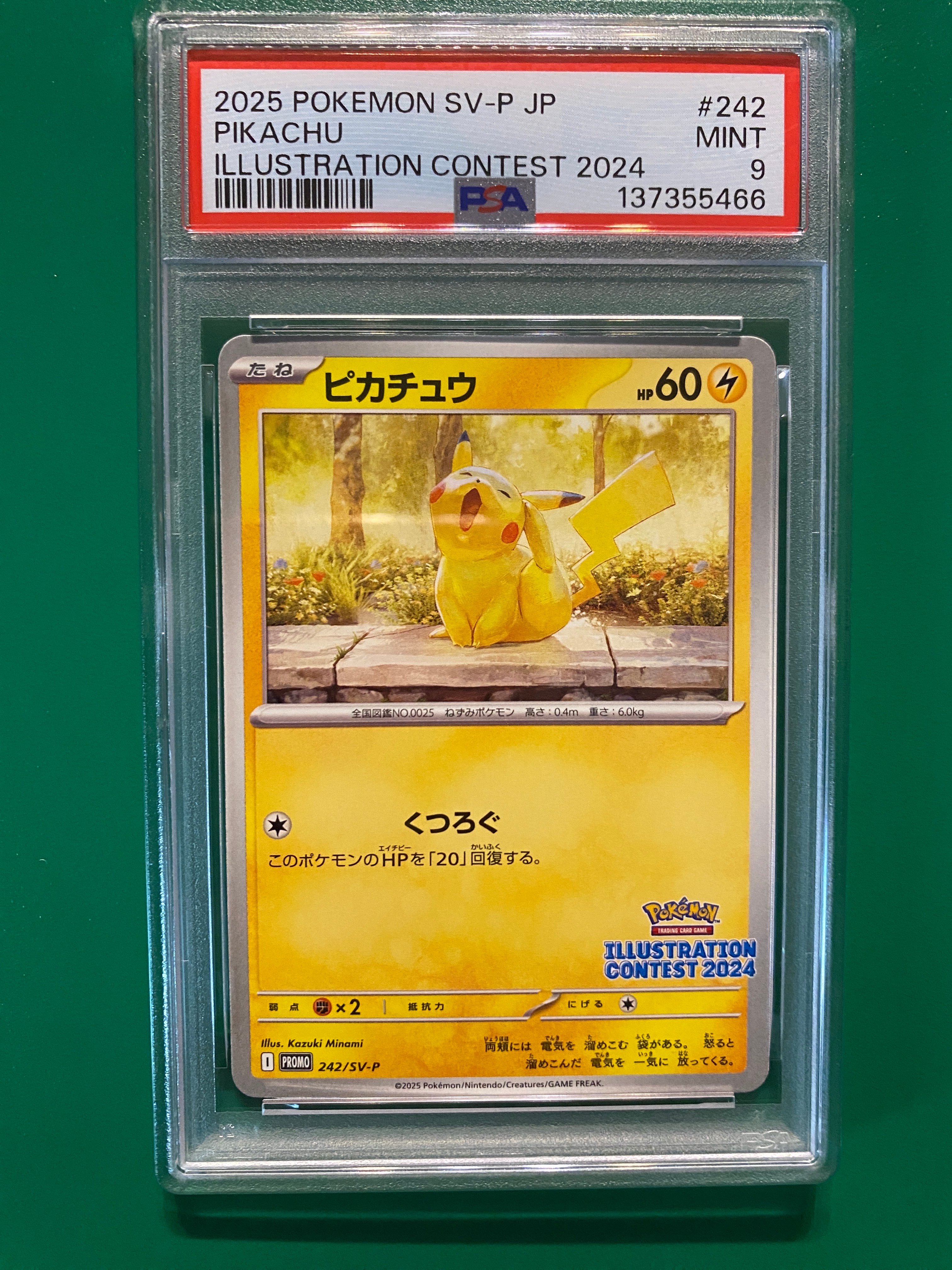 ピカチュウ [SV-P 242](プロモカードパック「イラストレーションコンテスト 2024 受賞作品プロモカード化記念キャンペーン」)