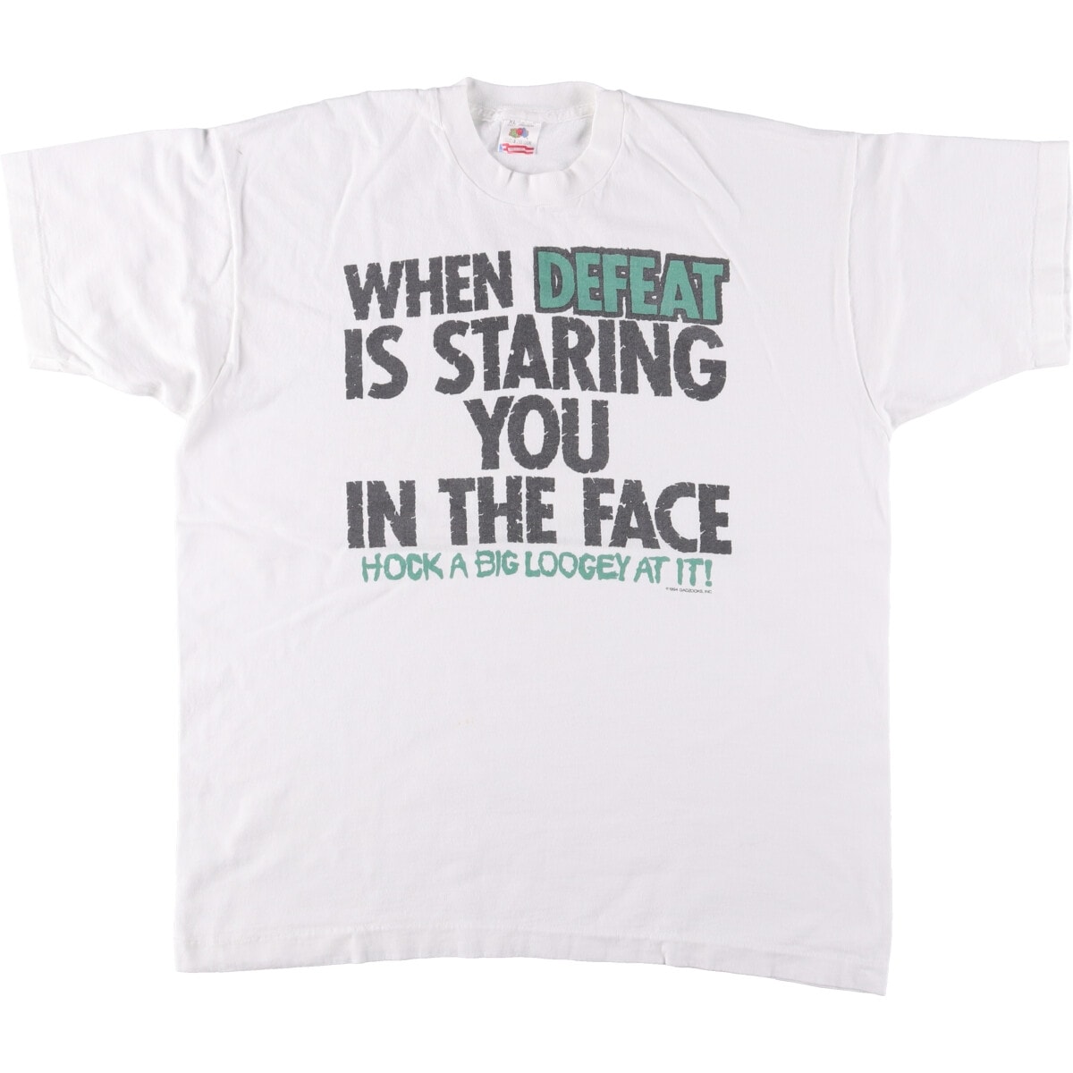 古着 90年代 フルーツオブザルーム FRUIT OF THE LOOM メッセージプリントTシャツ USA製 メンズXL相当 ヴィンテージ/eaa560737