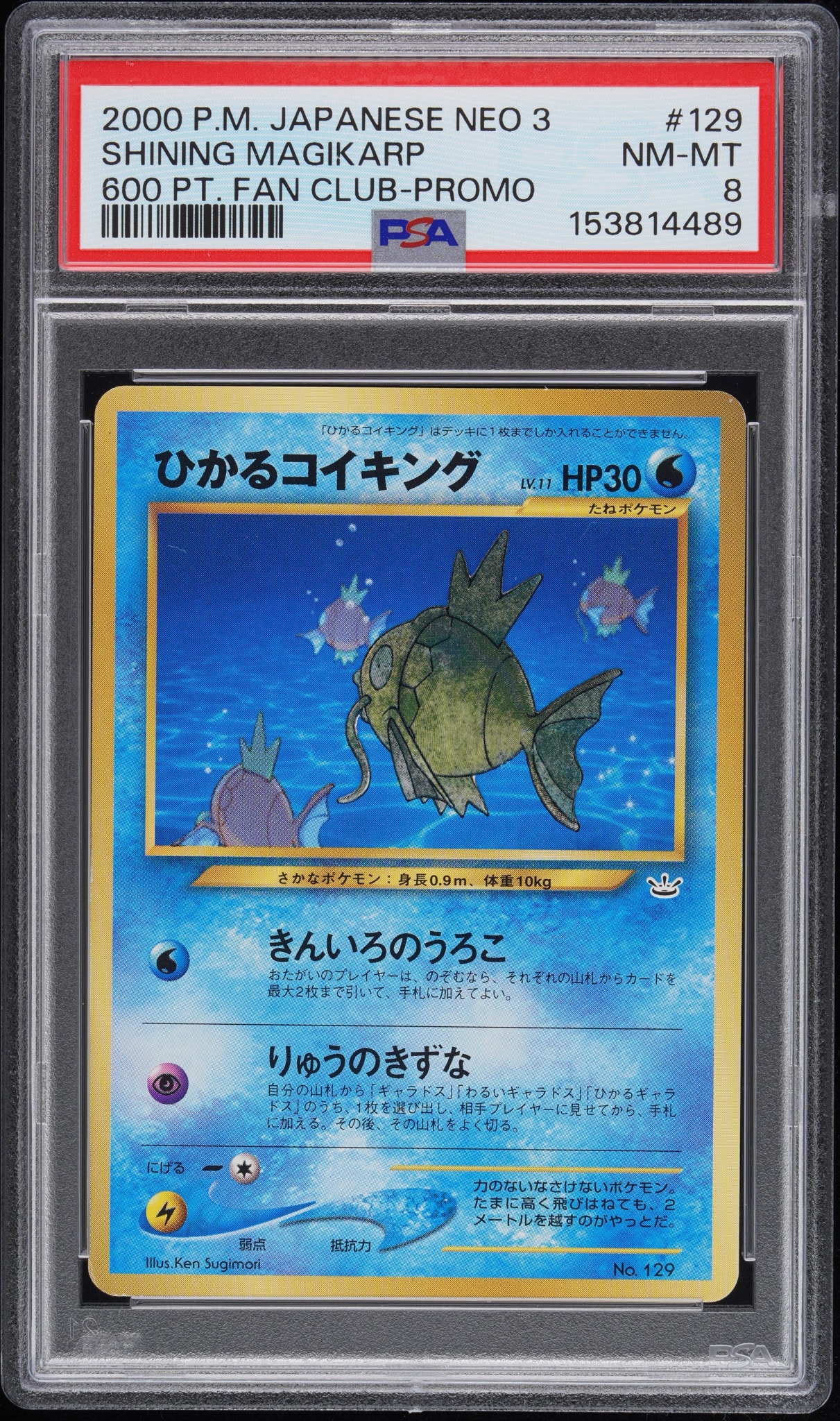 ひかるコイキング P : 旧裏 [neo-P](プロモーションカード「ポケモンカードファンクラブ」)
