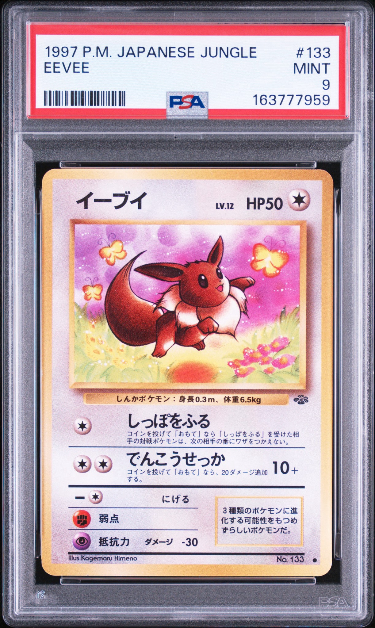 イーブイ ● : 旧裏 [PMCG2 No.133](拡張パック「ポケモンジャングル」)