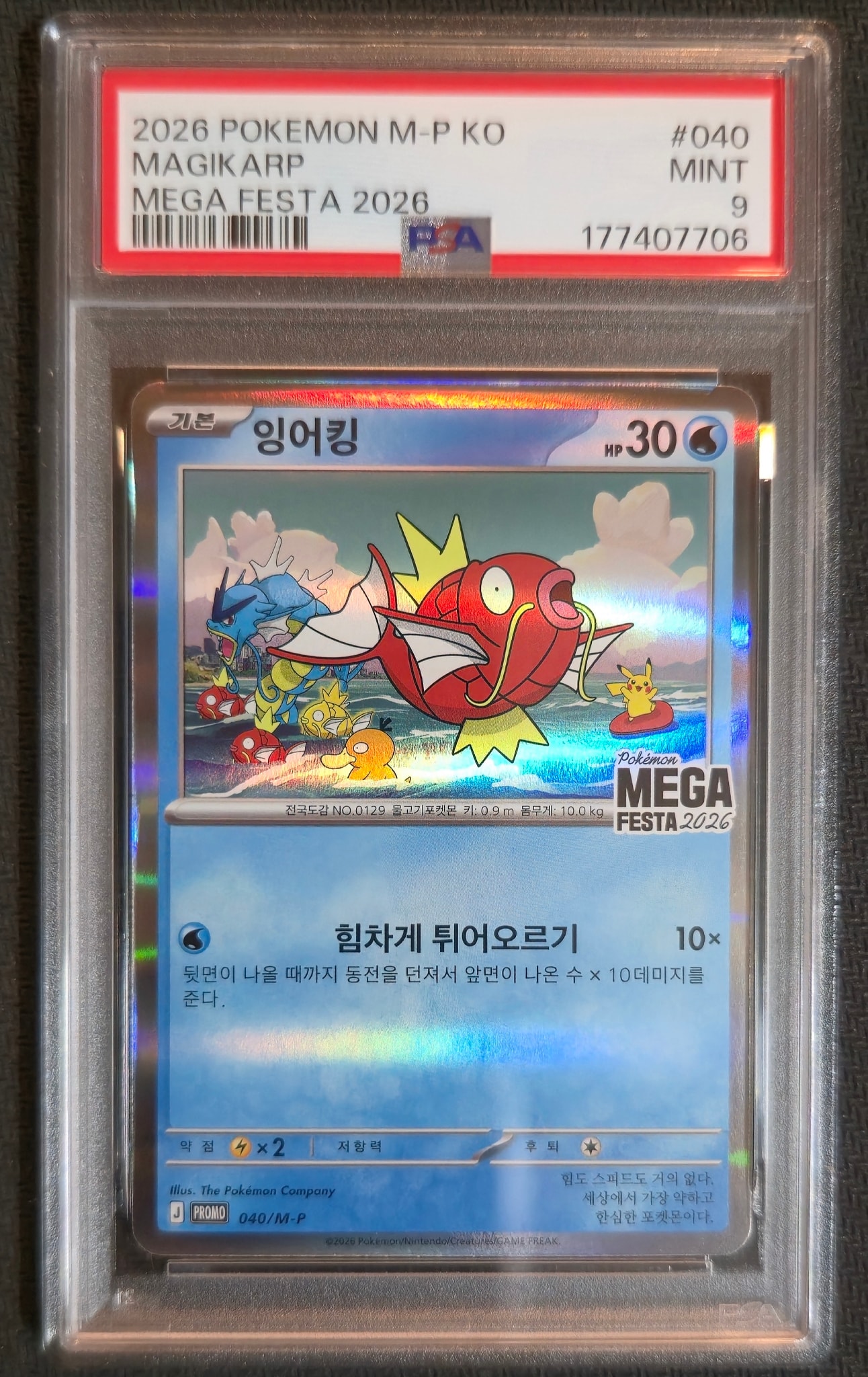 コイキング プロモ [040/M-P]【韓国語版】(プロモーションカード「ポケモン メガフェスタ2026 プロモカードパック」)