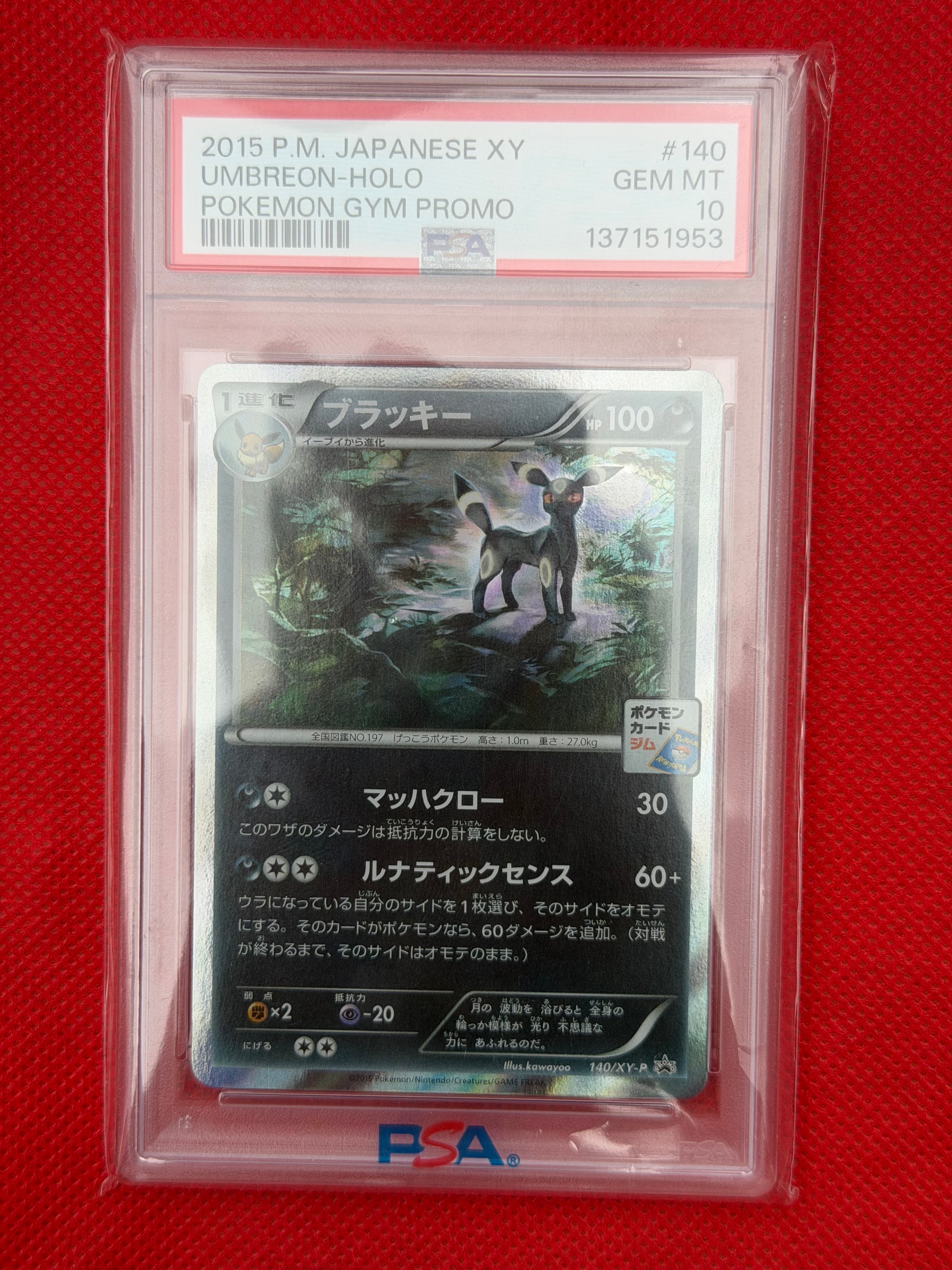 PSA10】ブラッキー: プロモ[XY-P 140/XY-P](プロモーションカード「XY