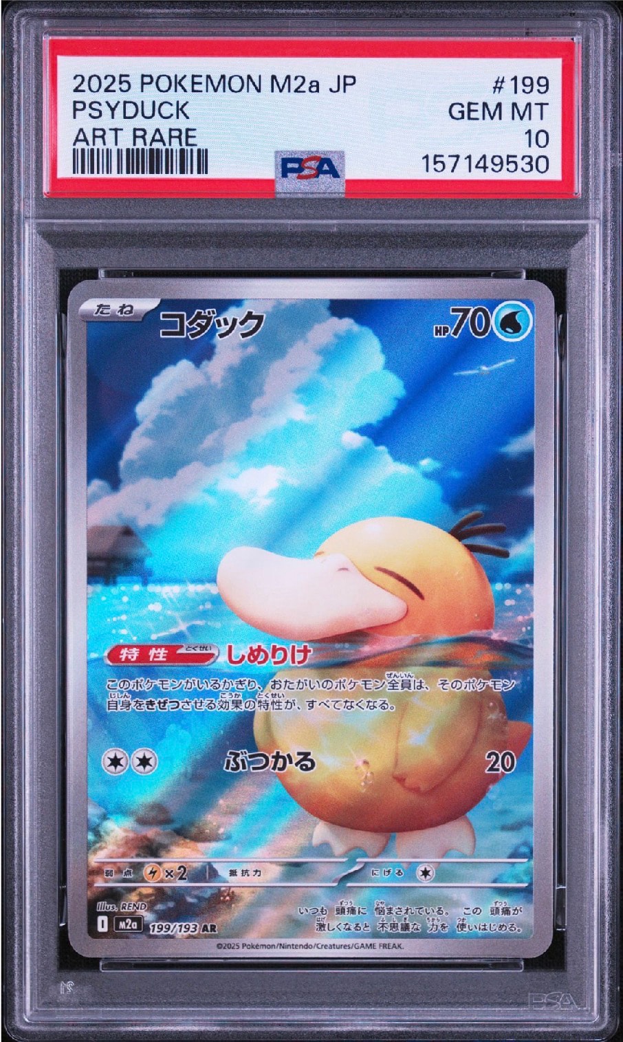 コダック AR [M2a 199/193](ハイクラスパック「MEGAドリームex」)通販