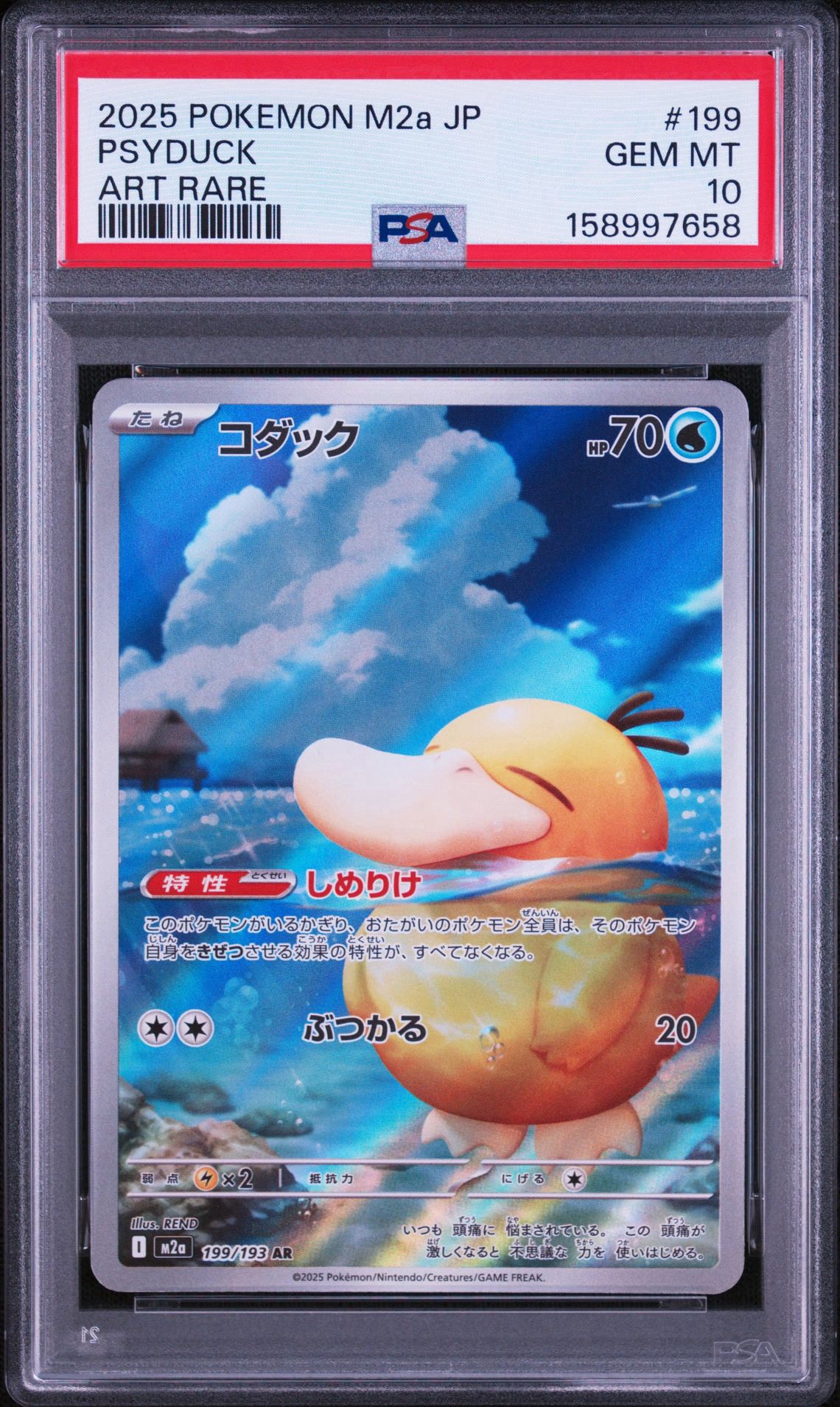 コダック AR [M2a 199/193](ハイクラスパック「MEGAドリームex」)