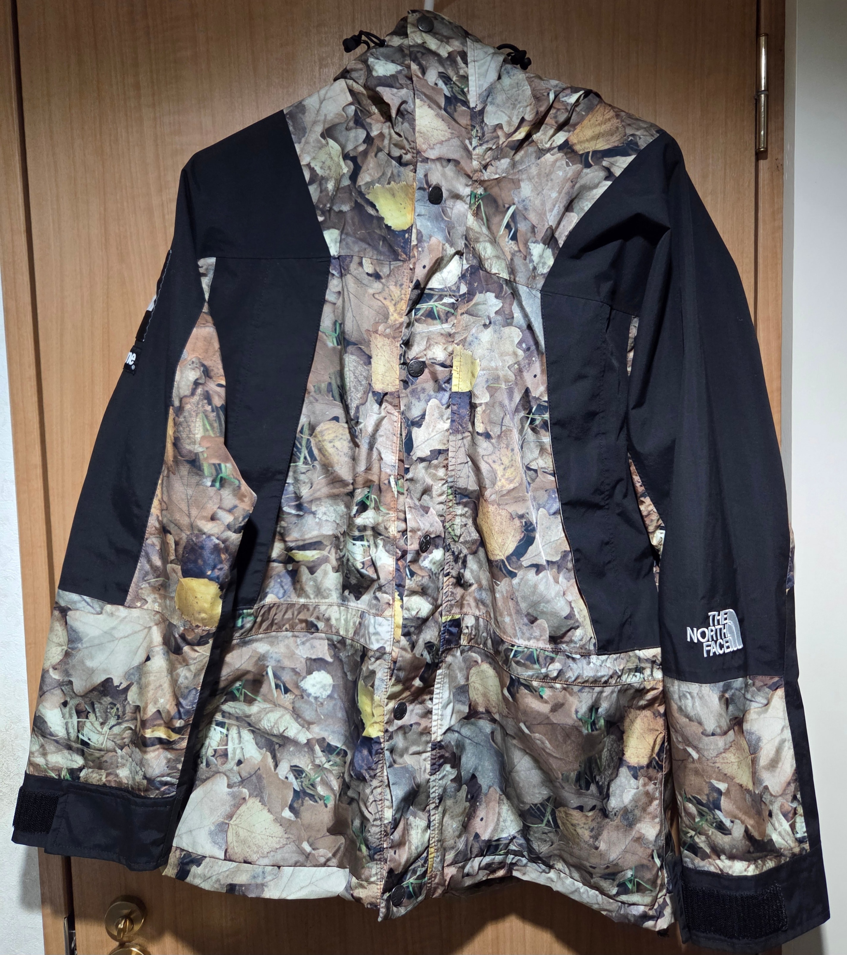 Supreme x The North Face Leaves Mountain Light Jacket "Leaves"