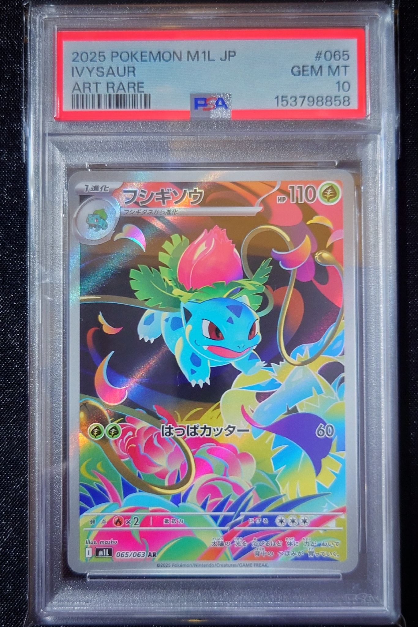 フシギソウ AR [M1L 065/063](拡張パック「メガブレイブ」)通販・買取