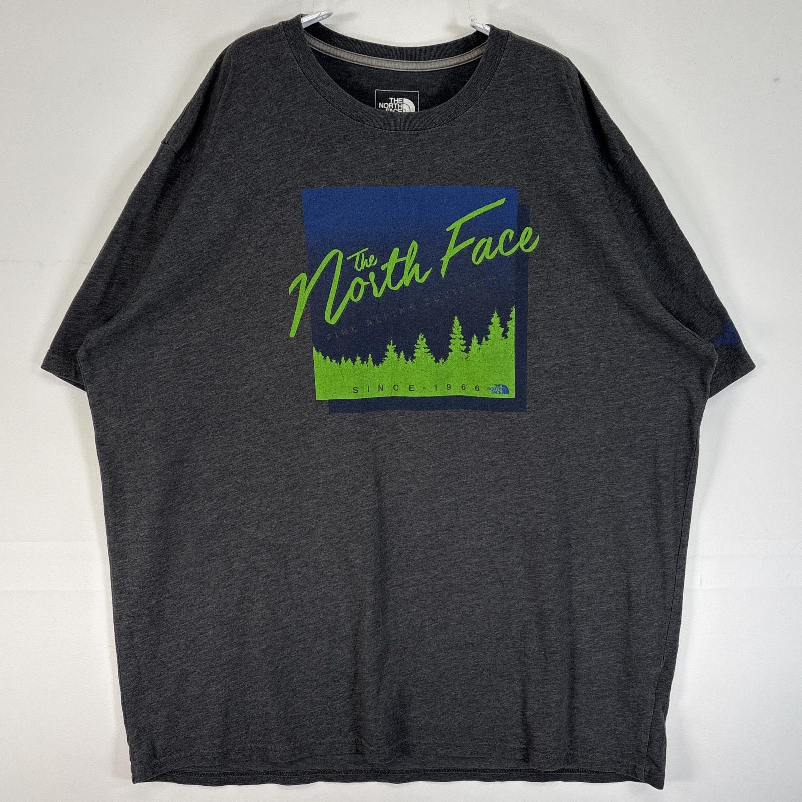 古着 ザ・ノースフェイス THE NORTH FACE 半袖Tシャツ プリント 大きいサイズ クルーネック XL グレー メンズ