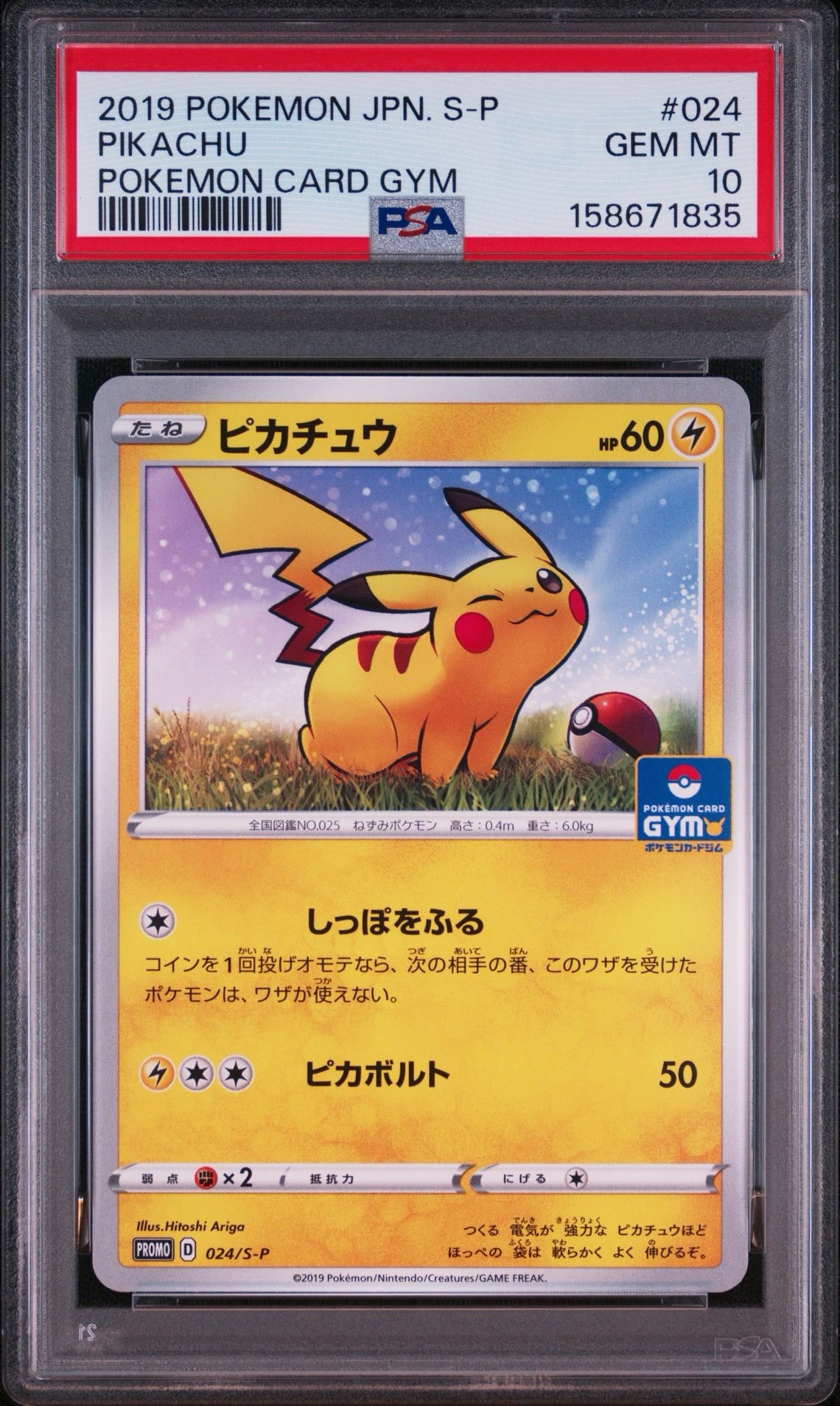 ピカチュウ: プロモ P [S-P 024](ポケモンカードゲーム ソード&シールド 「プロモカードパック 第1弾」)