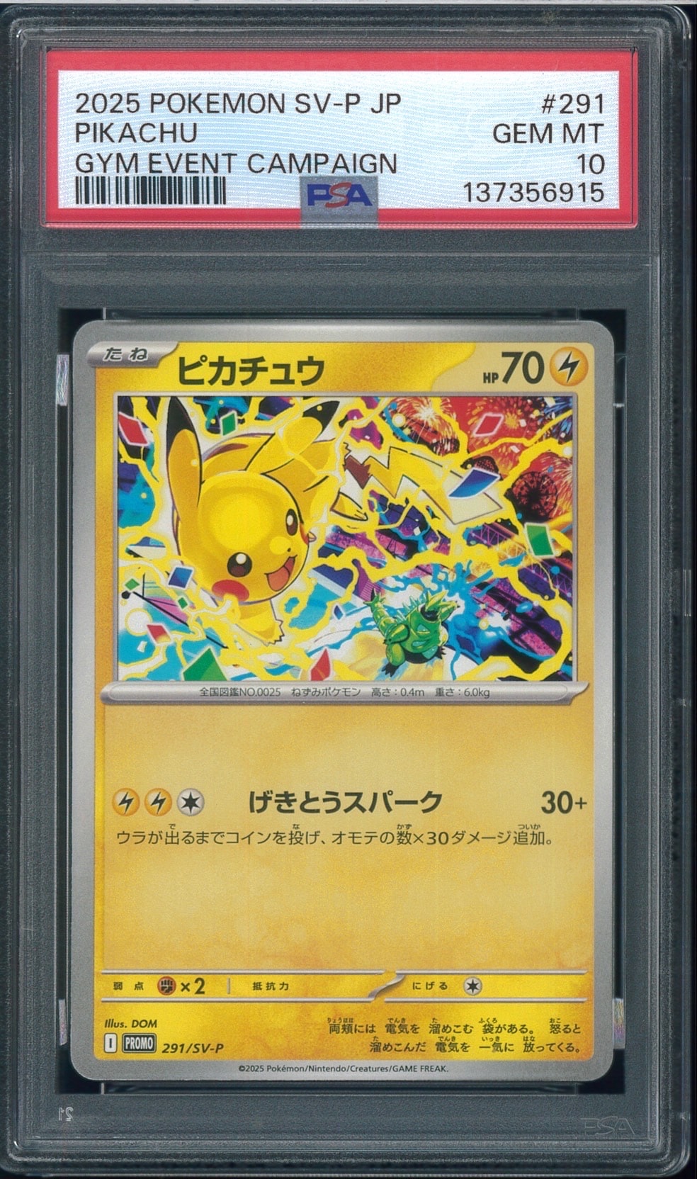 ピカチュウ P [SV-P 291](プロモーションカード「SV-P」)の新品/中古