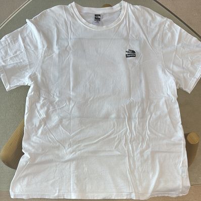 Supreme x The North Face Bandana Tee "White"