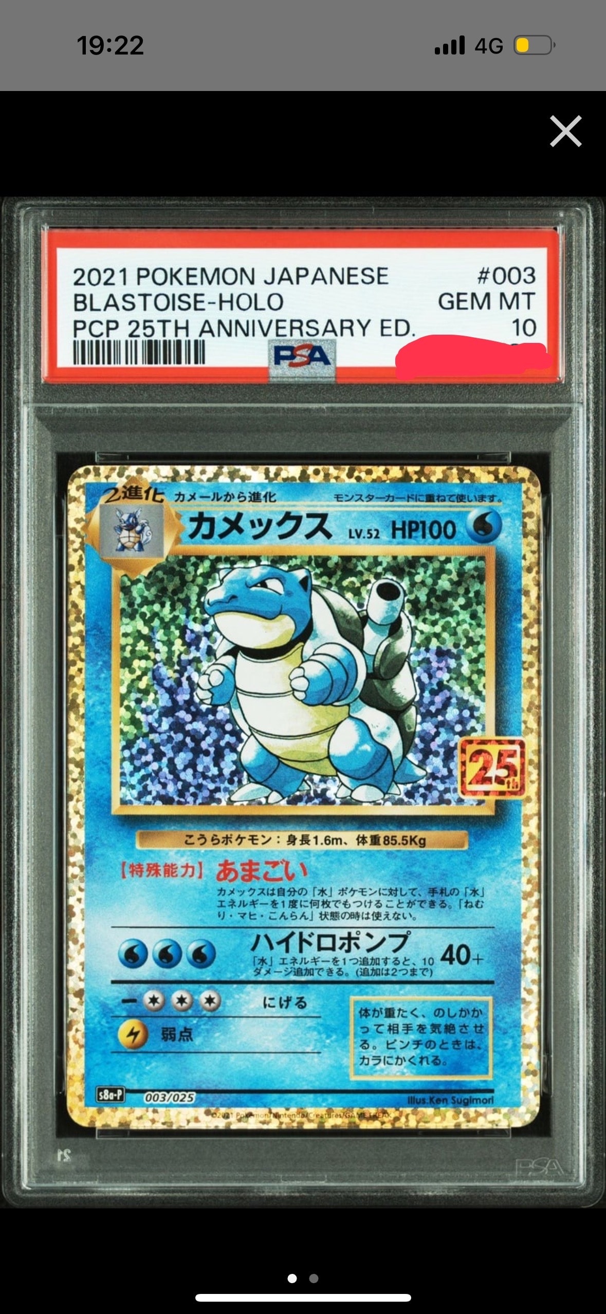 カメックス: プロモ[S8a-P 003/025](プロモカードパック 25th ANNIVERSARY edition)