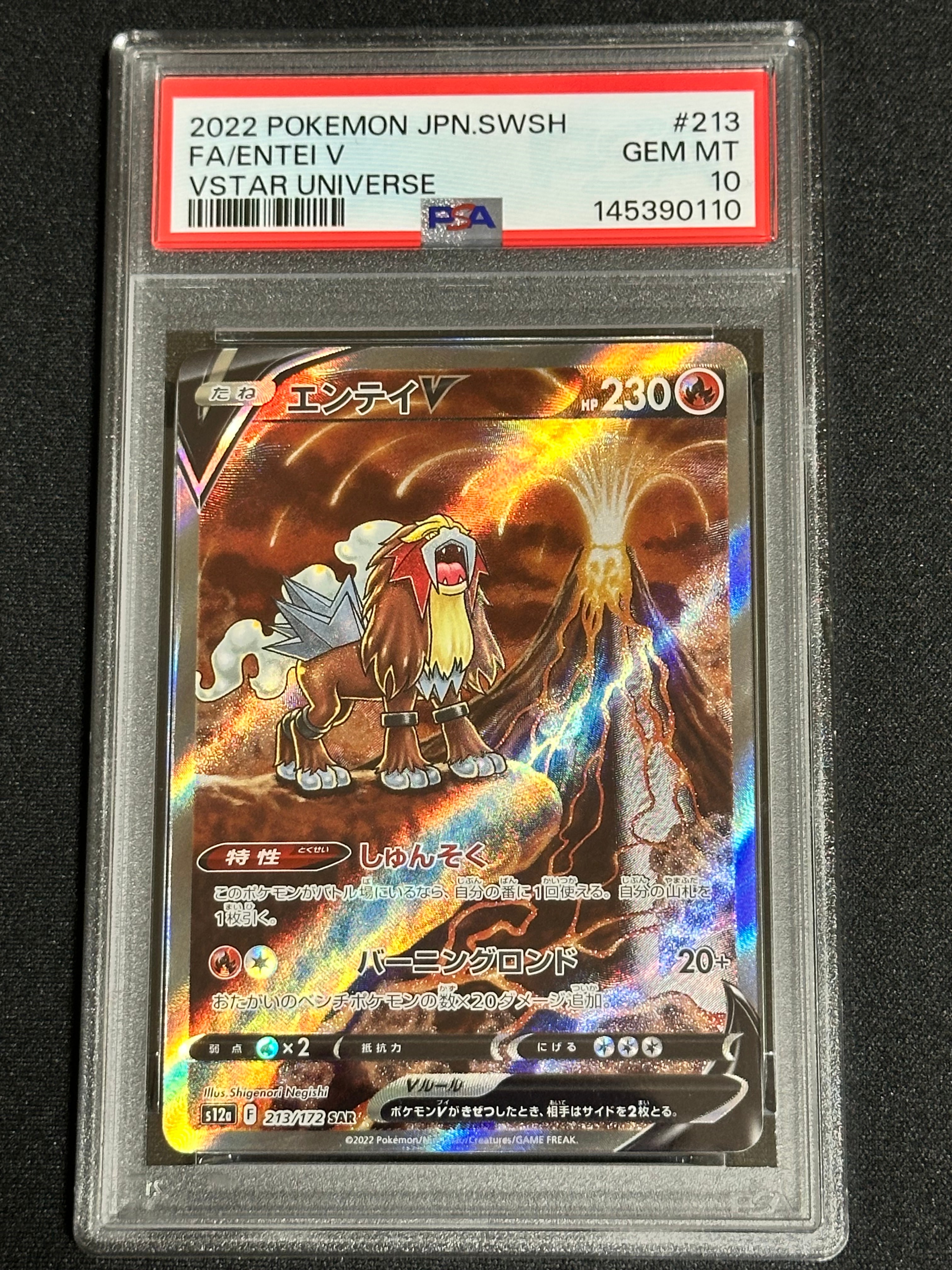 PSA10】エンテイV SAR[s12a 213/172](ハイクラスパック「VSTAR
