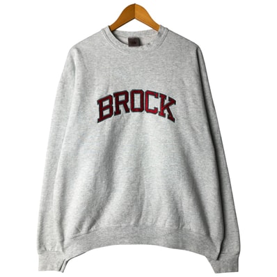 古着 90年代 フルーツオブザルーム FRUIT OF THE LOOM カレッジスウェットシャツ トレーナー USA製 メンズXL相当 ヴィンテージ/eaa606709